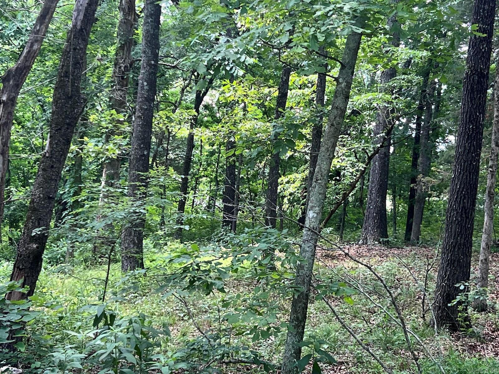 3238  Old Sturkie Road  Salem, AR