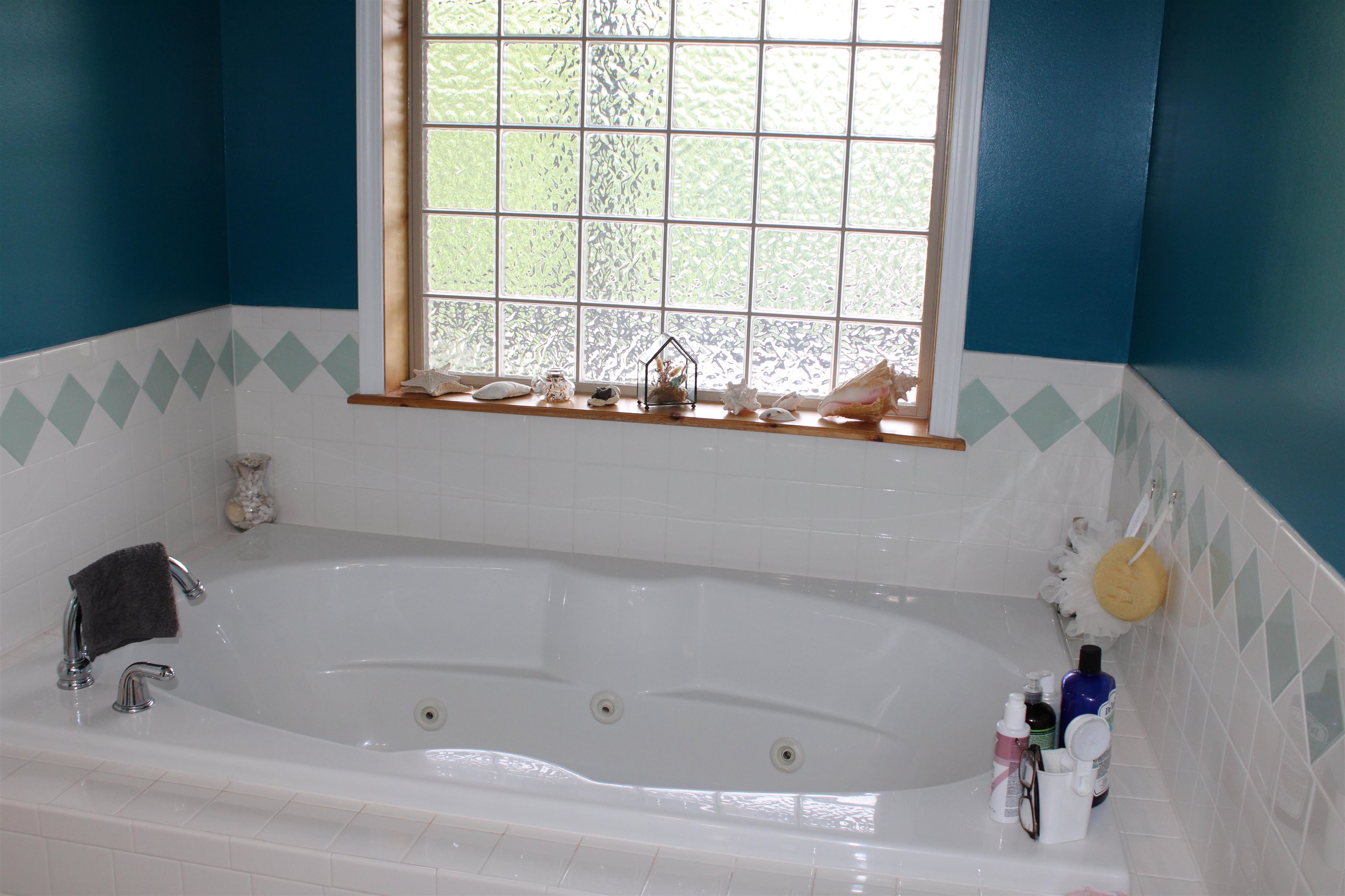 872  Bluewing  Mountain Home, AR