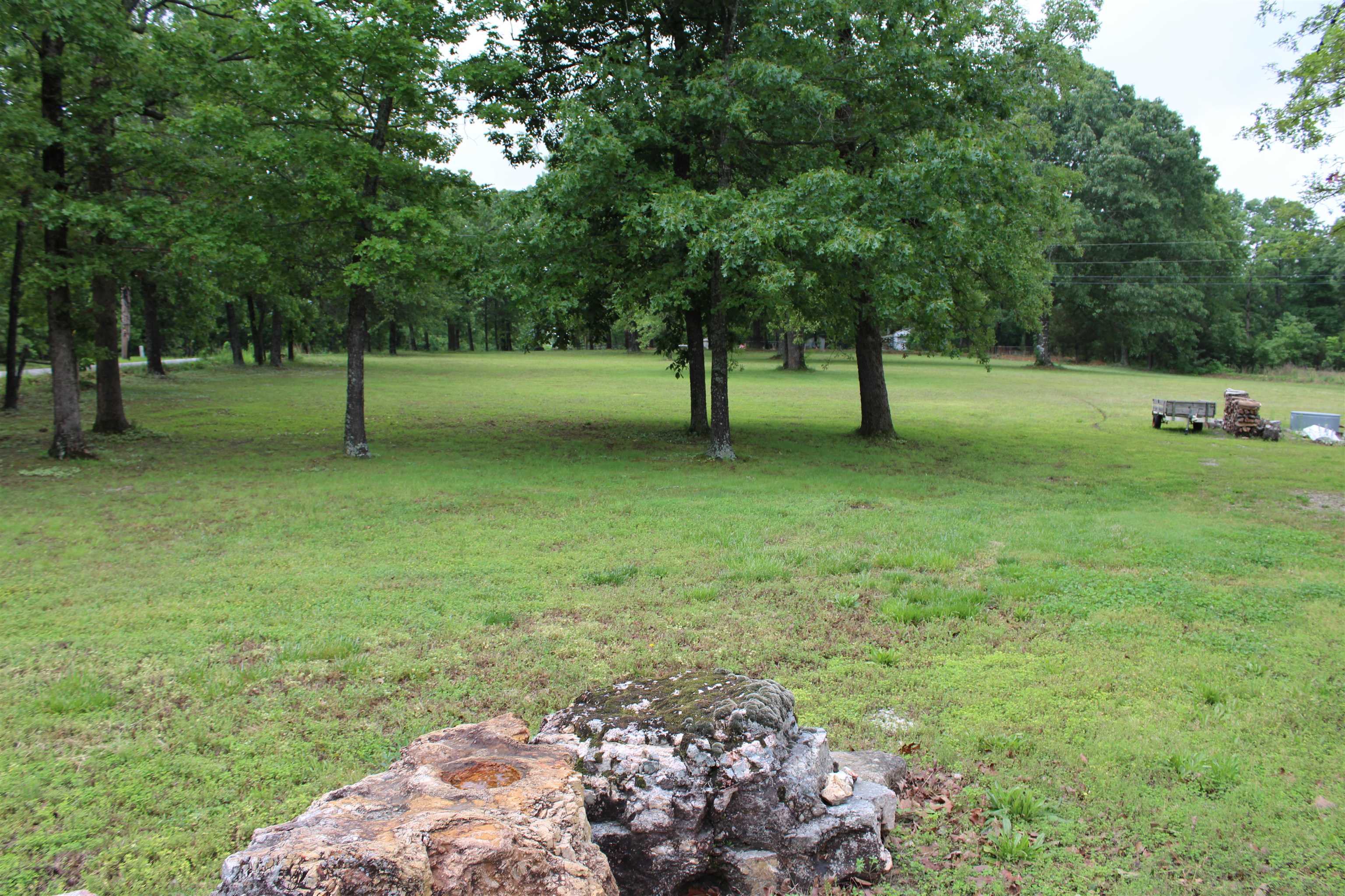872  Bluewing  Mountain Home, AR