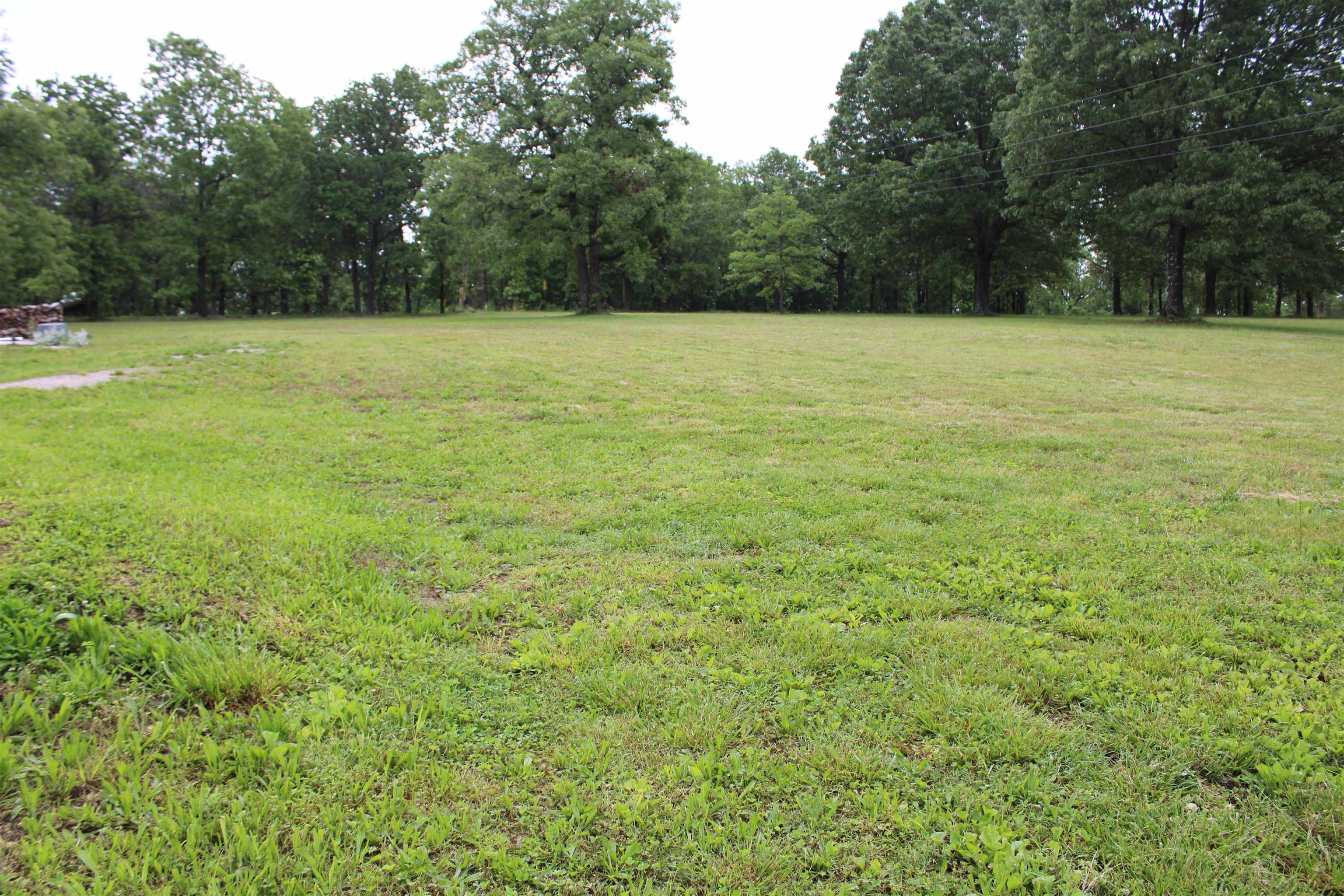 872  Bluewing  Mountain Home, AR