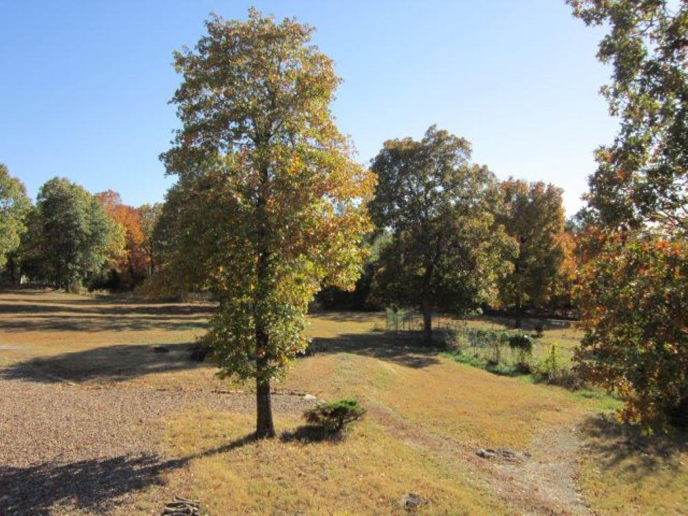 872  Bluewing  Mountain Home, AR
