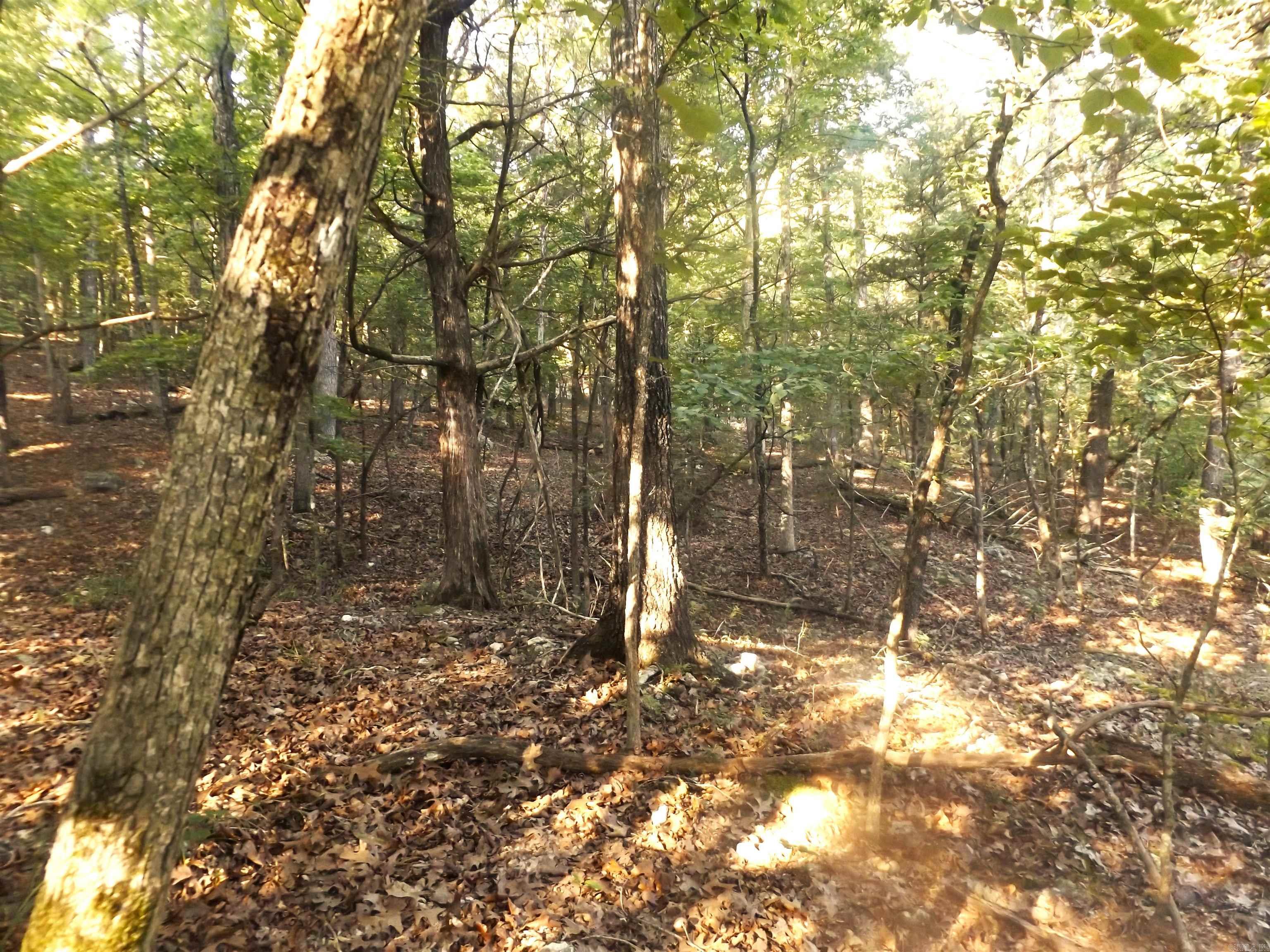 Lot 16  Antler  Henderson, AR