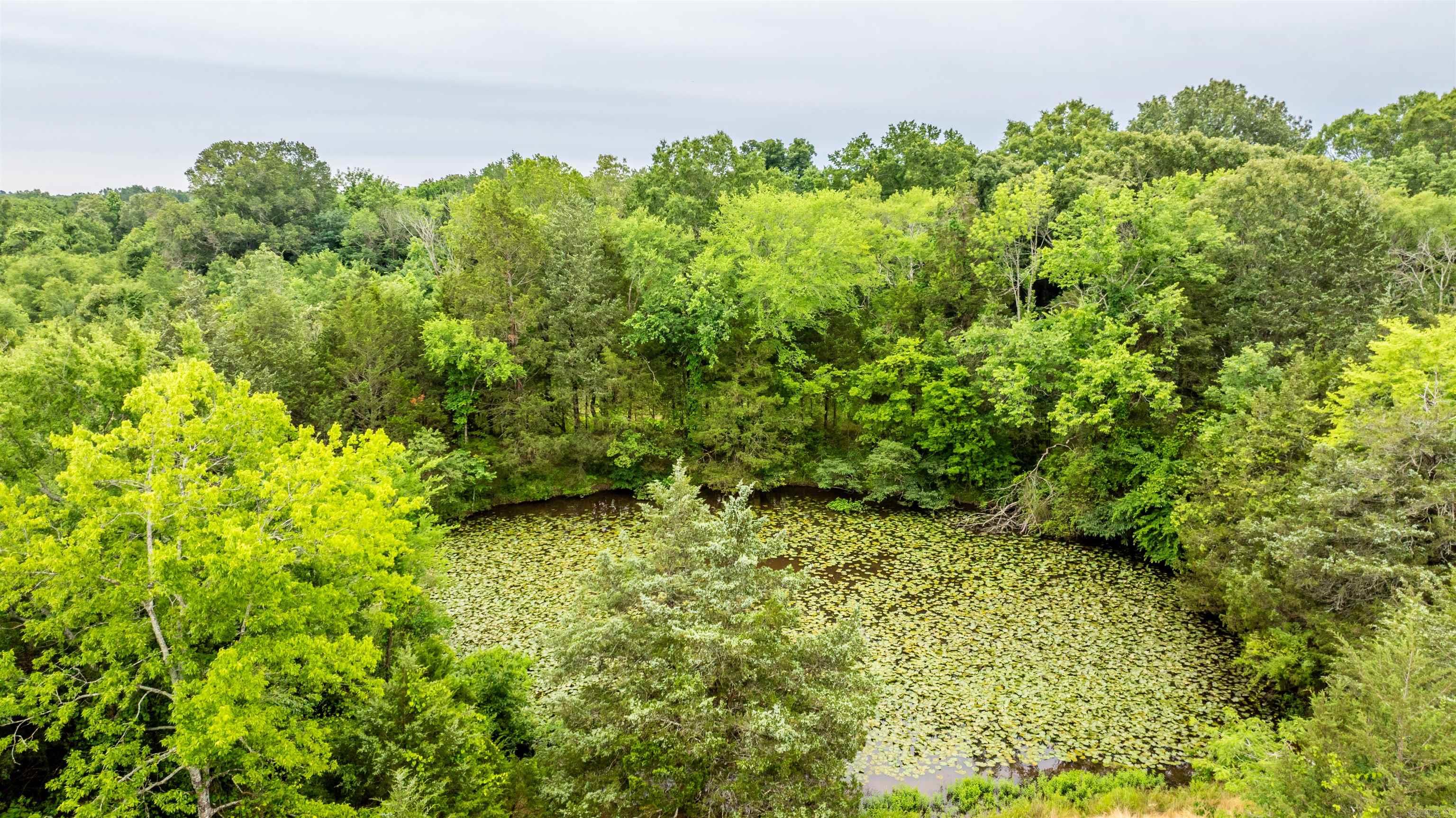 000  Skunk Hollow Rd  Conway, AR