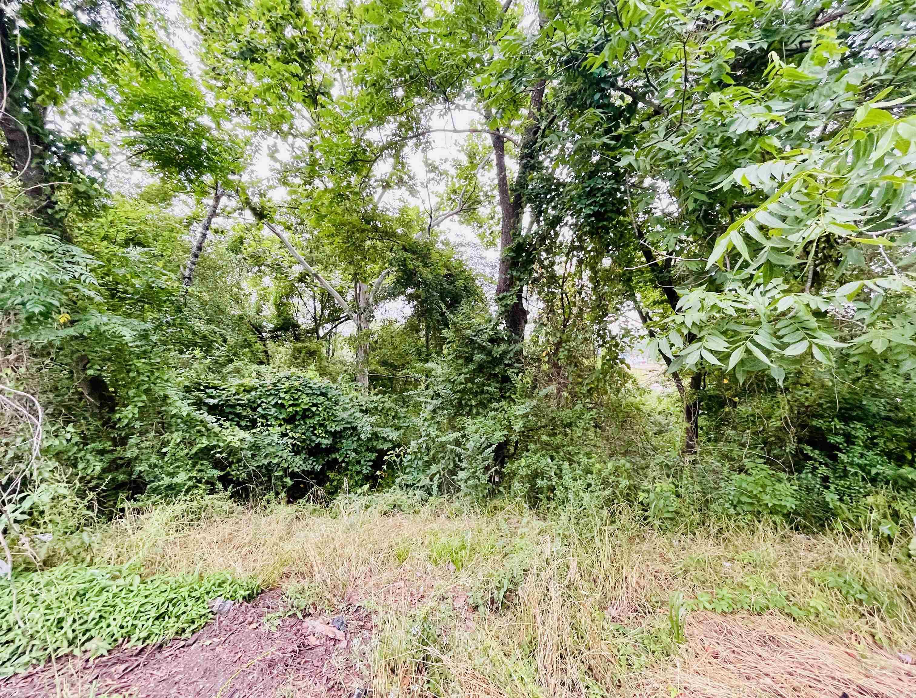 Lots 6 and 7  Amber Lane  North Little Rock, AR