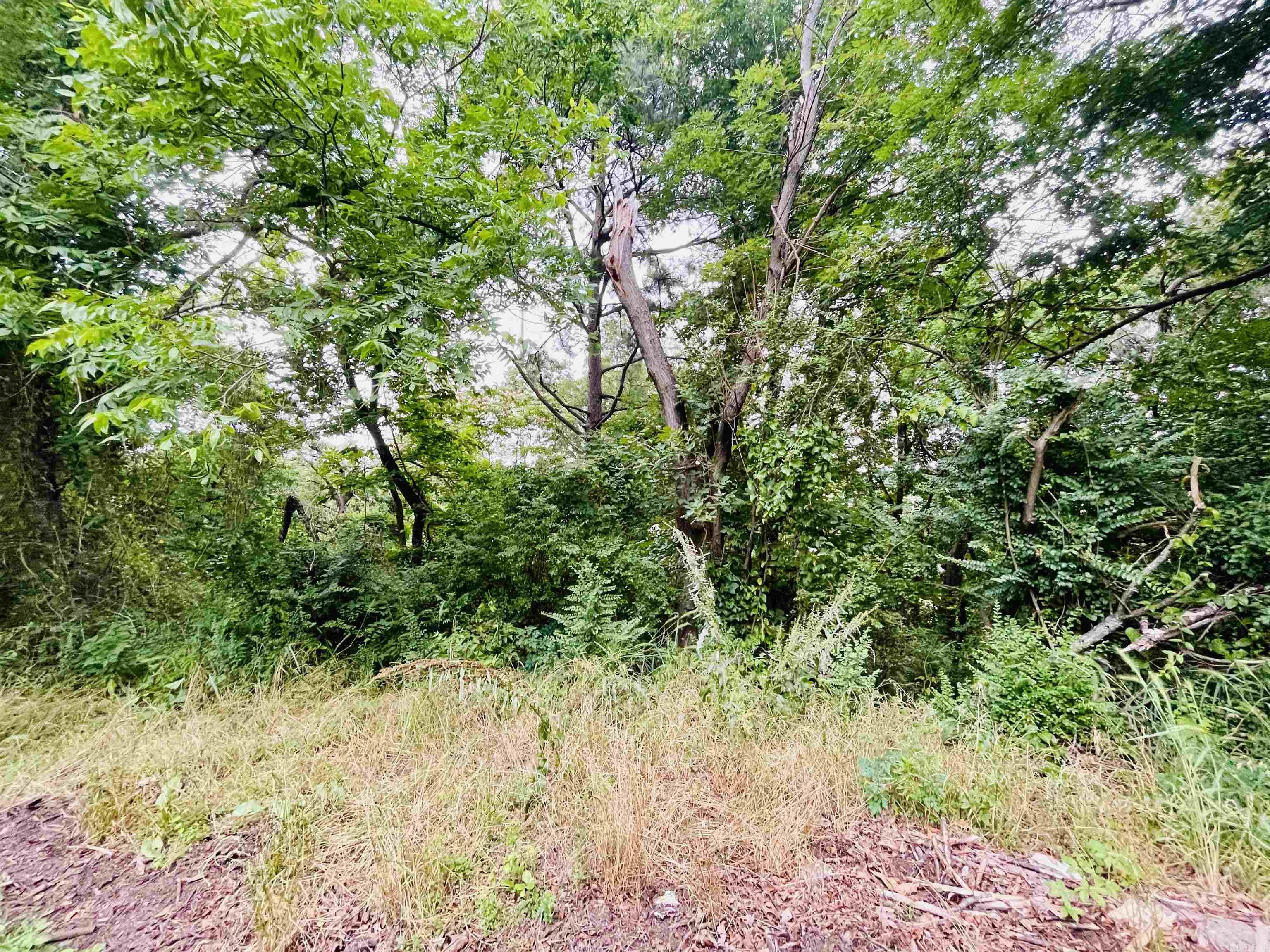 Lots 6 and 7  Amber Lane  North Little Rock, AR