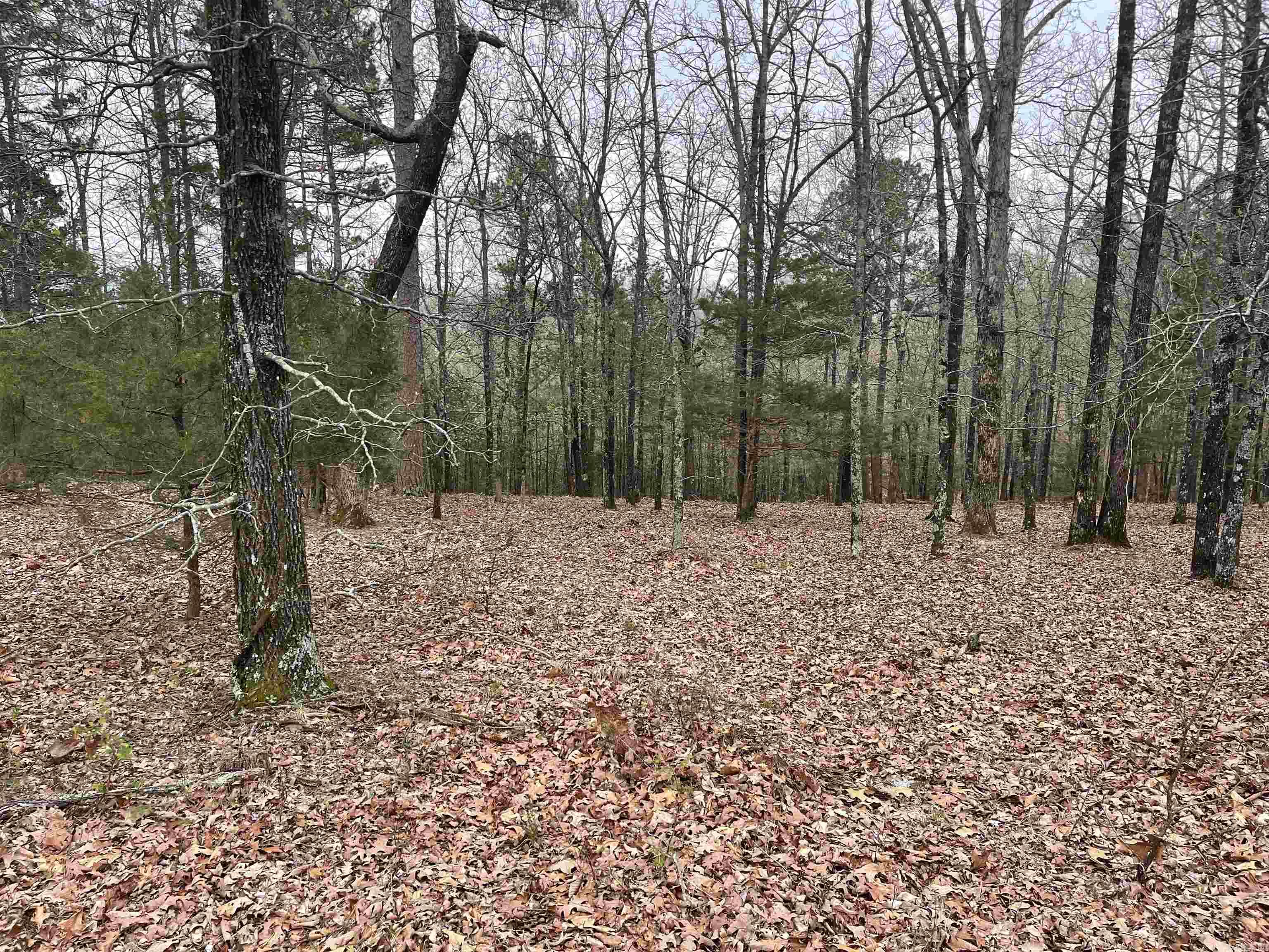 Lot 4  Diamond Bluff Road  Quitman, AR