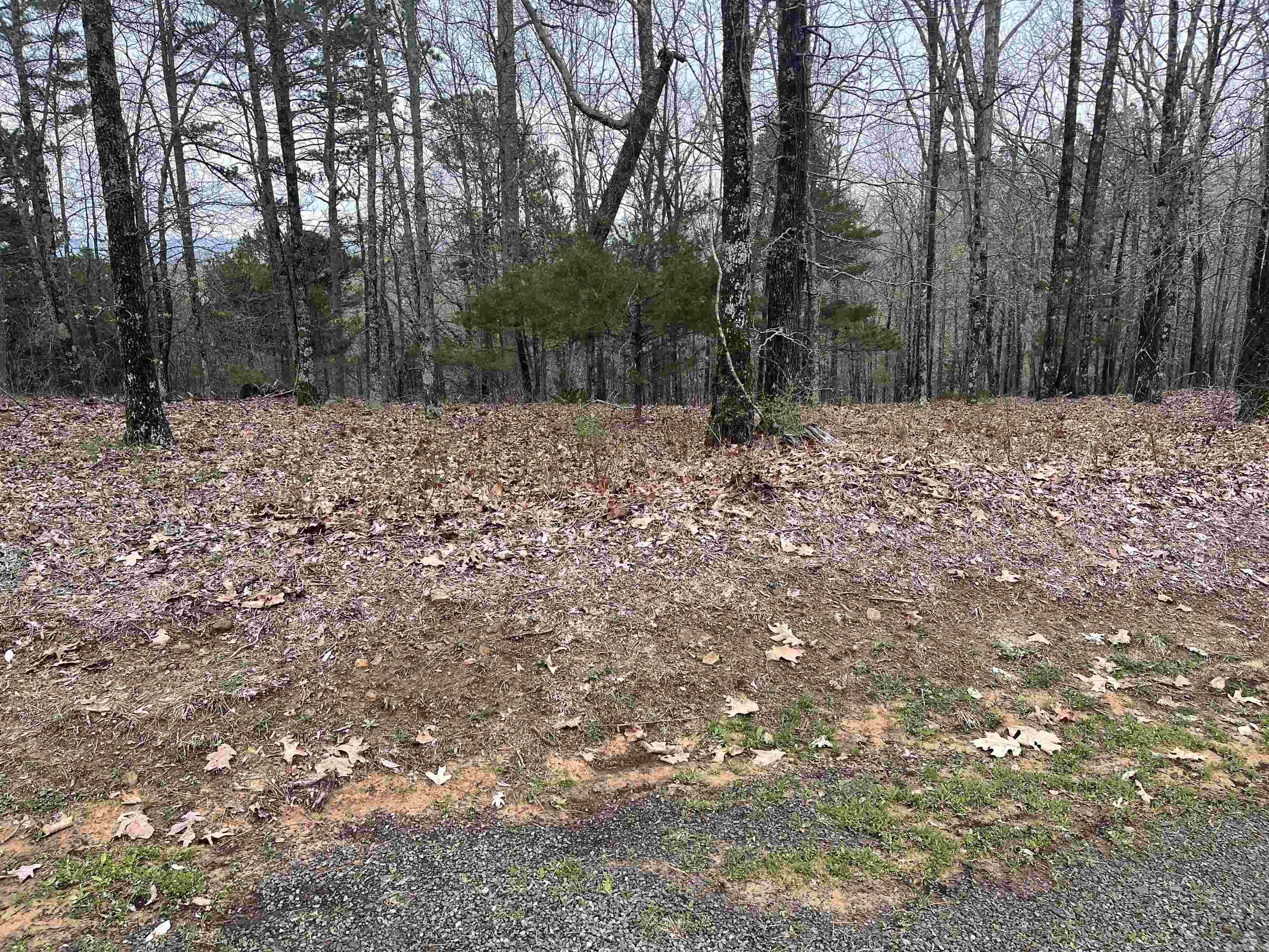 Lot 4  Diamond Bluff Road  Quitman, AR