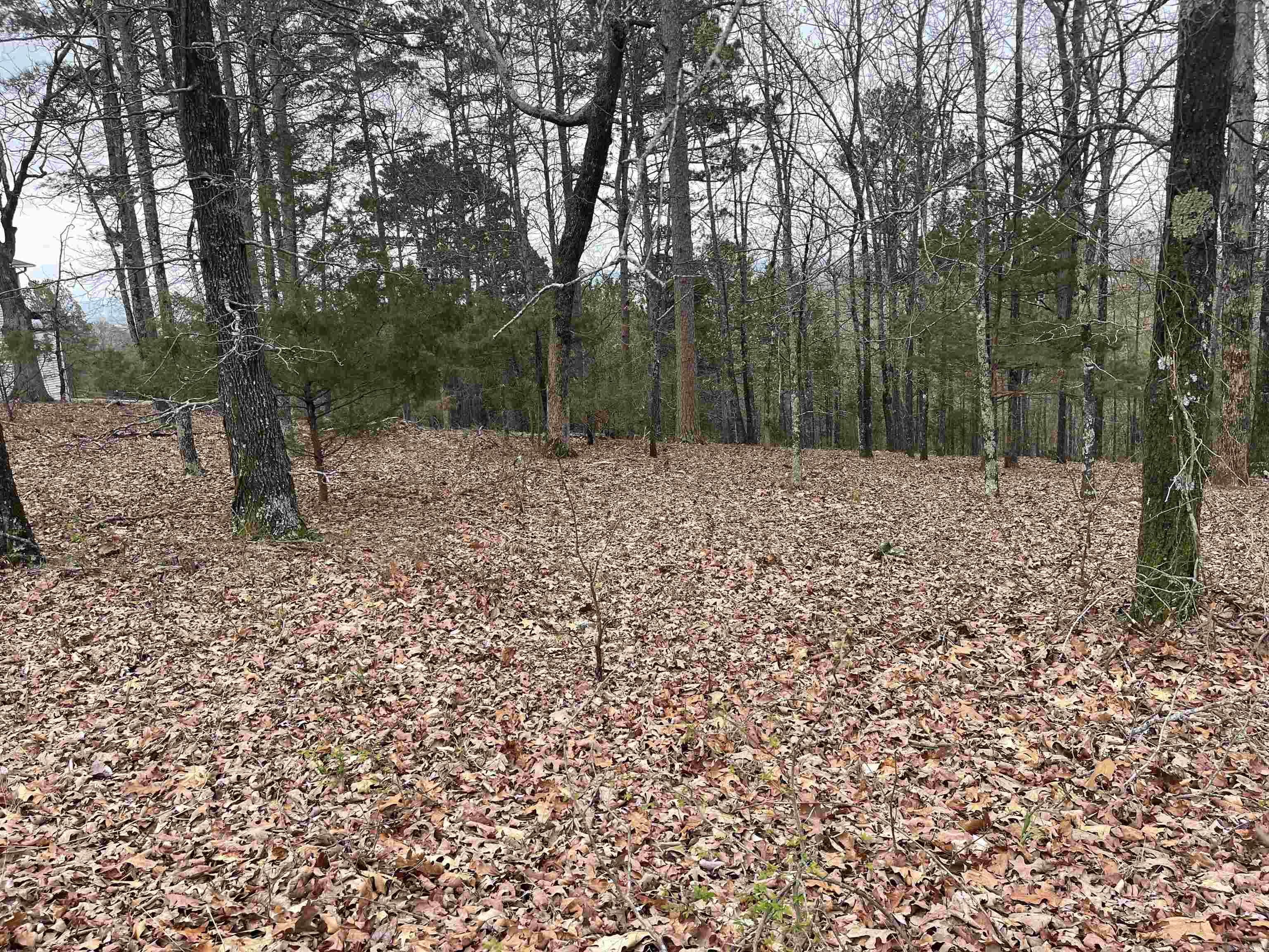 Lot 4  Diamond Bluff Road  Quitman, AR