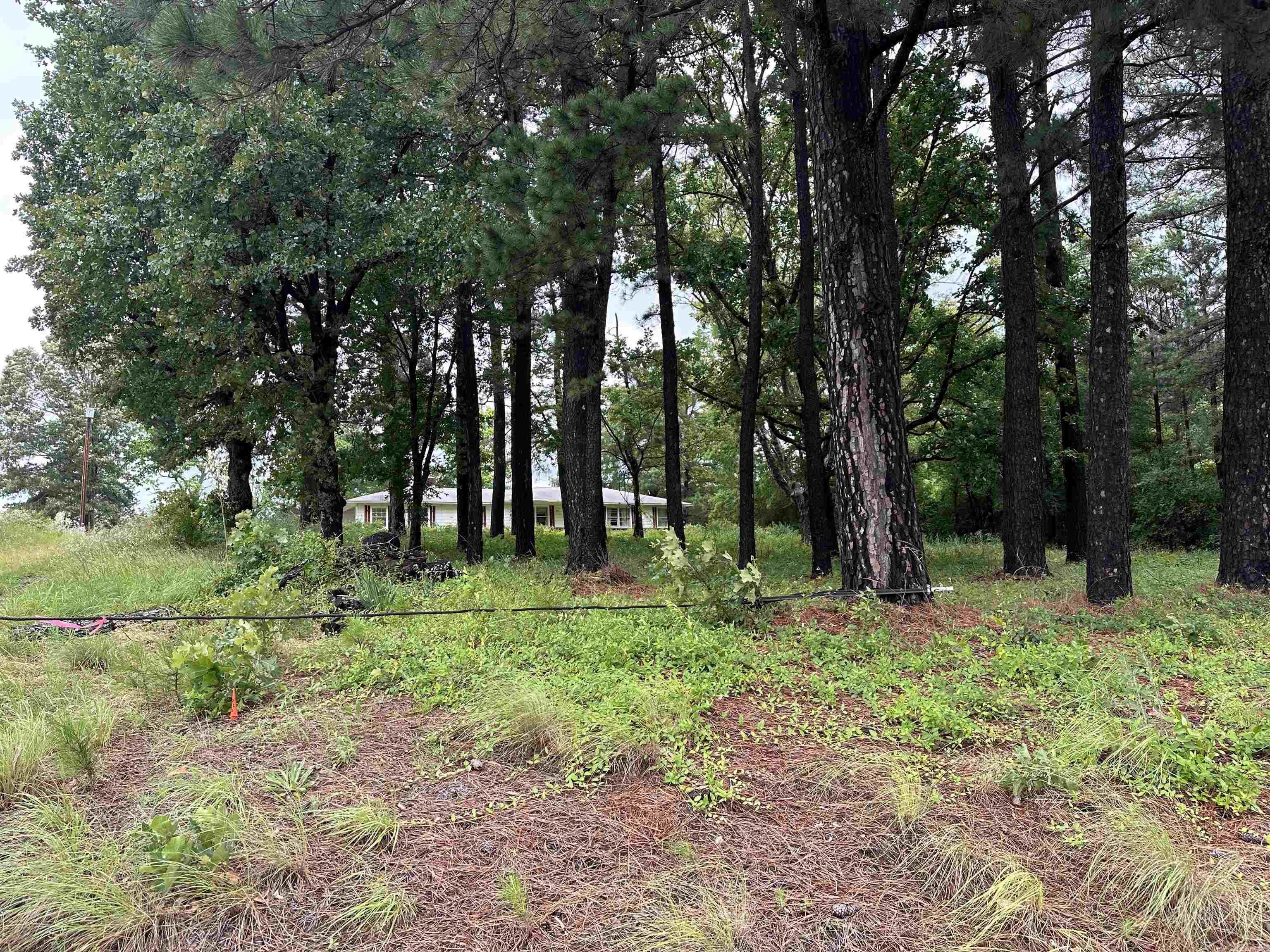 3232  W Highway 36  Searcy, AR
