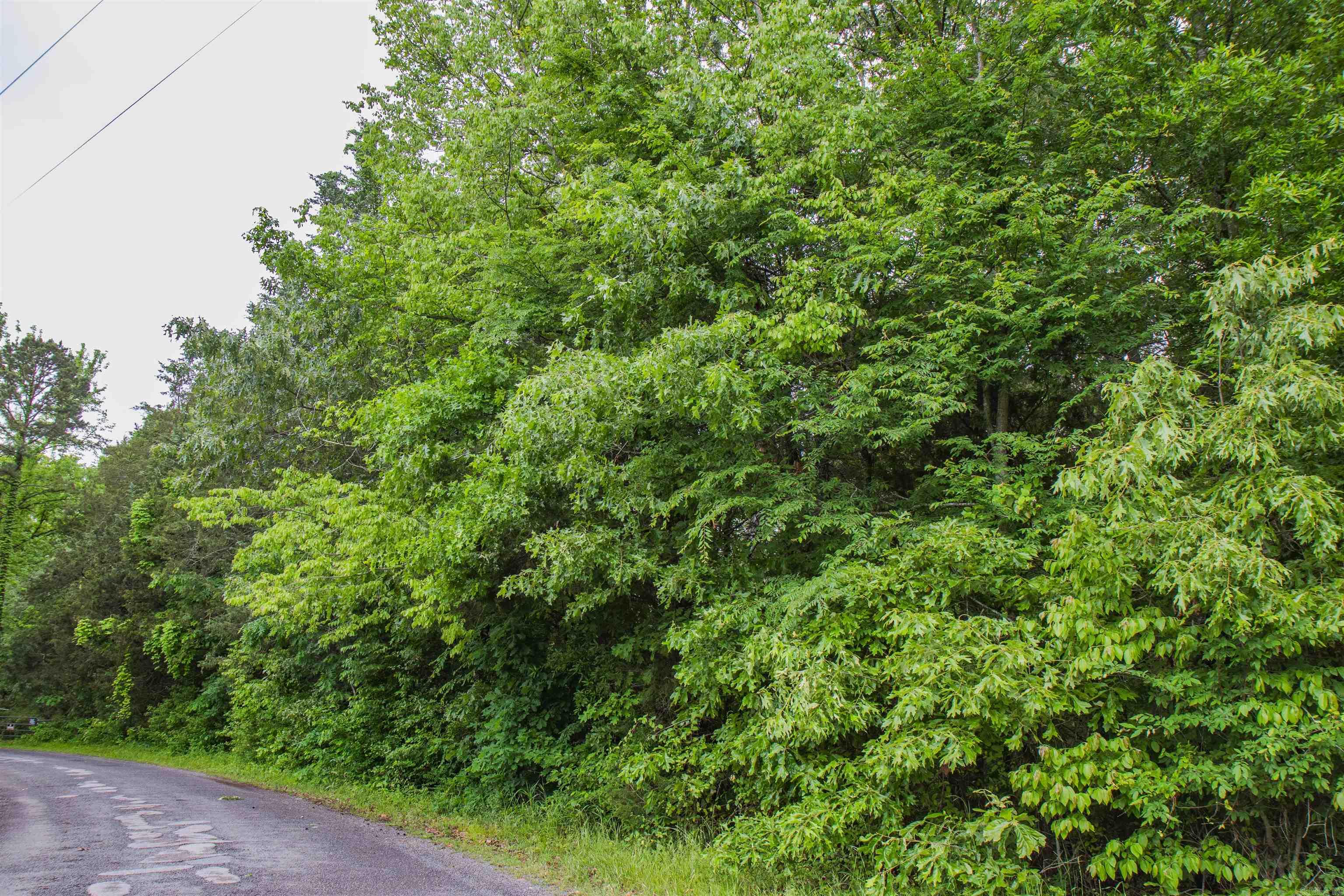 0  Ethridge Lane  Conway, AR