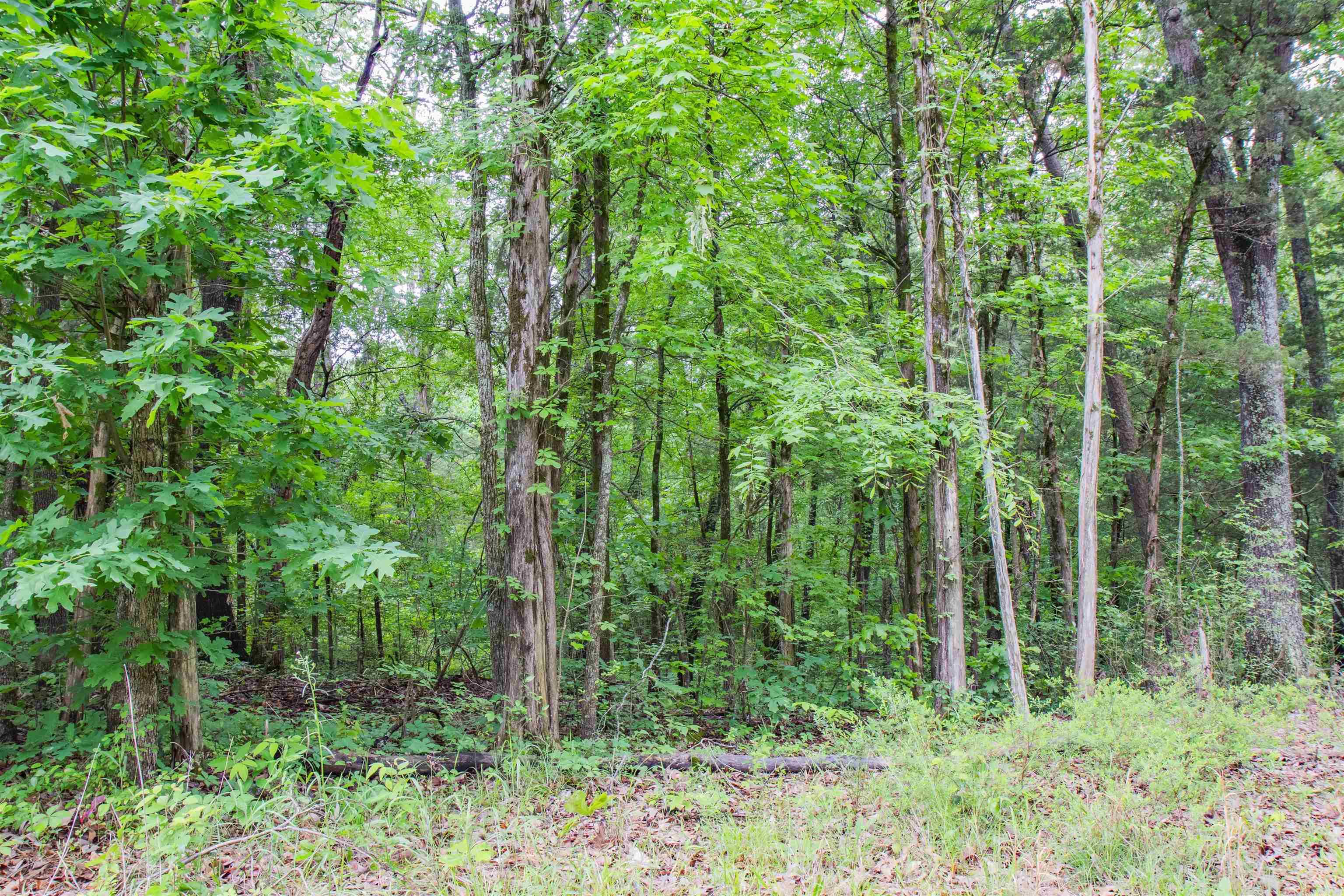 0  Ethridge Lane  Conway, AR
