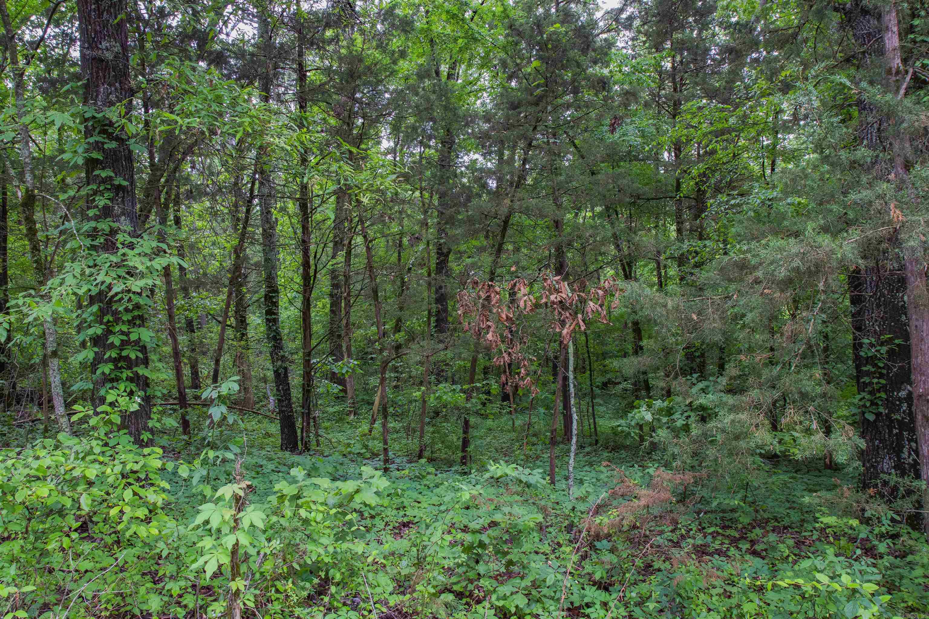 0  Ethridge Lane  Conway, AR