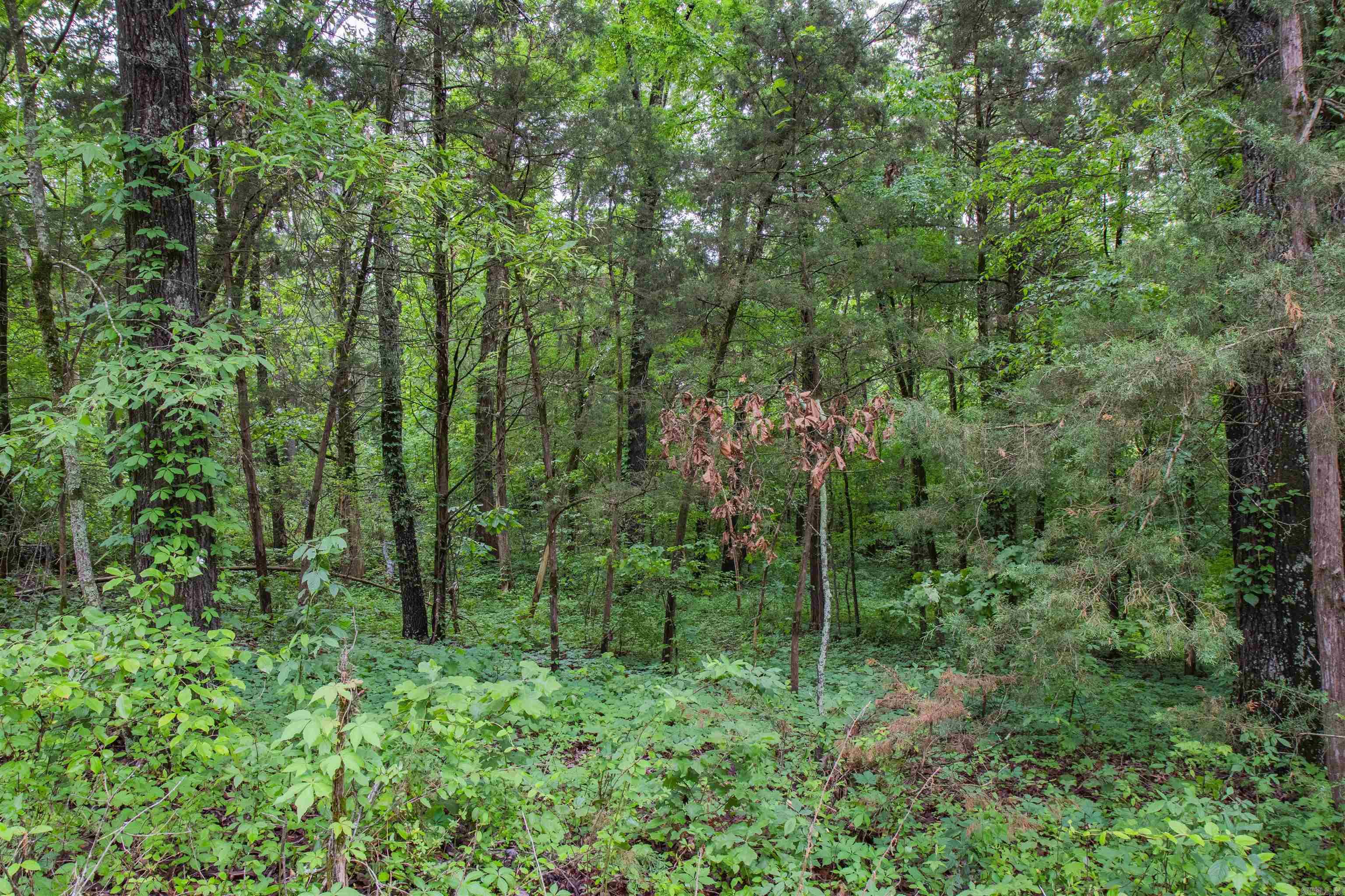 0  Ethridge Lane  Conway, AR