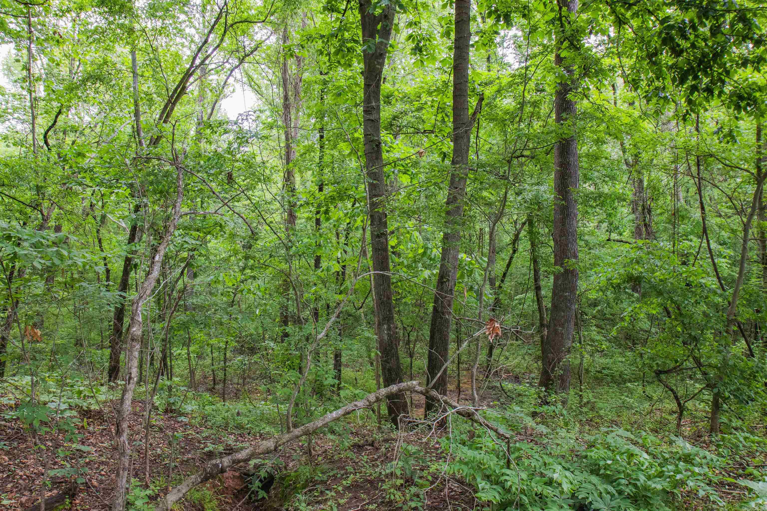 0  Ethridge Lane  Conway, AR