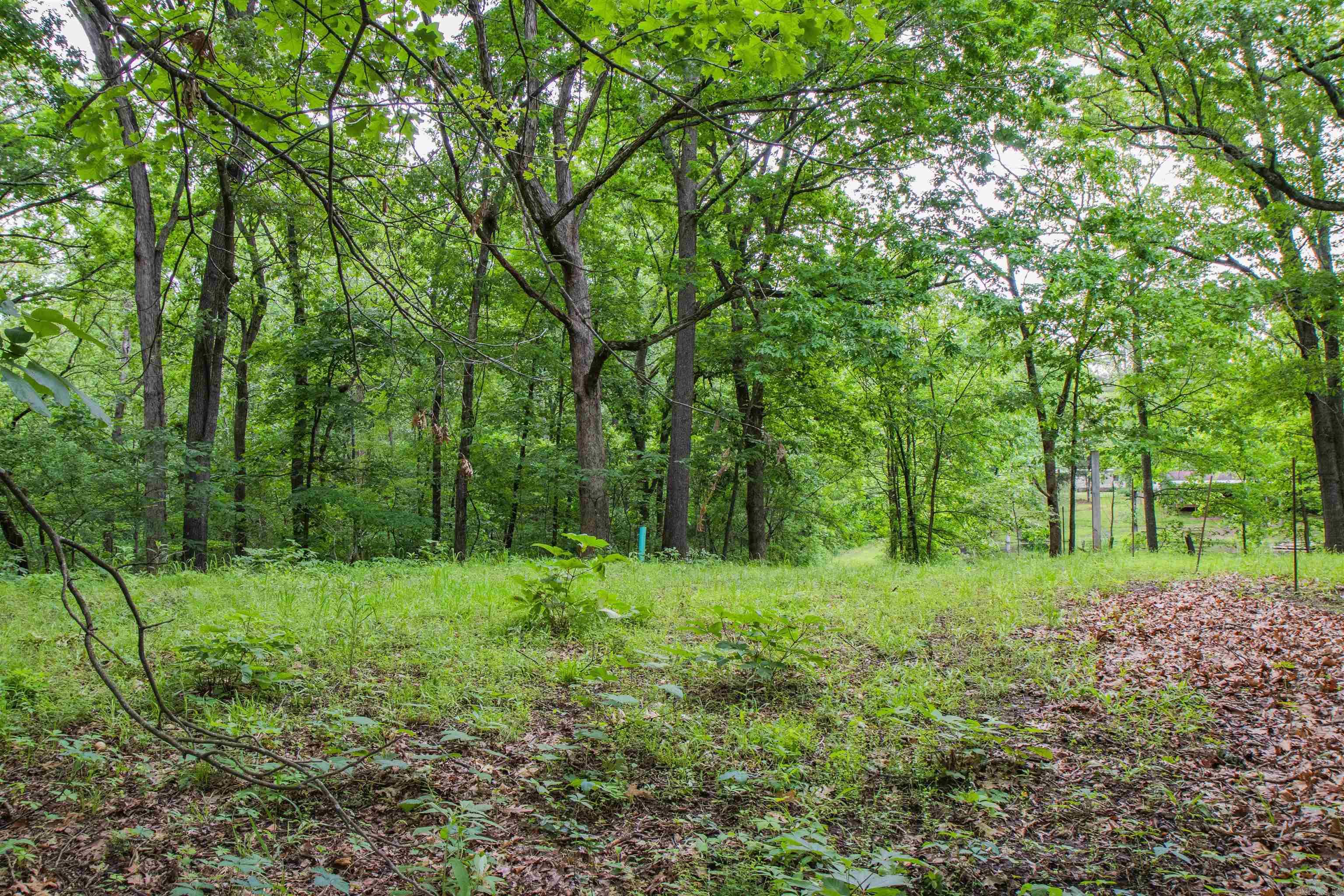 0  Ethridge Lane  Conway, AR