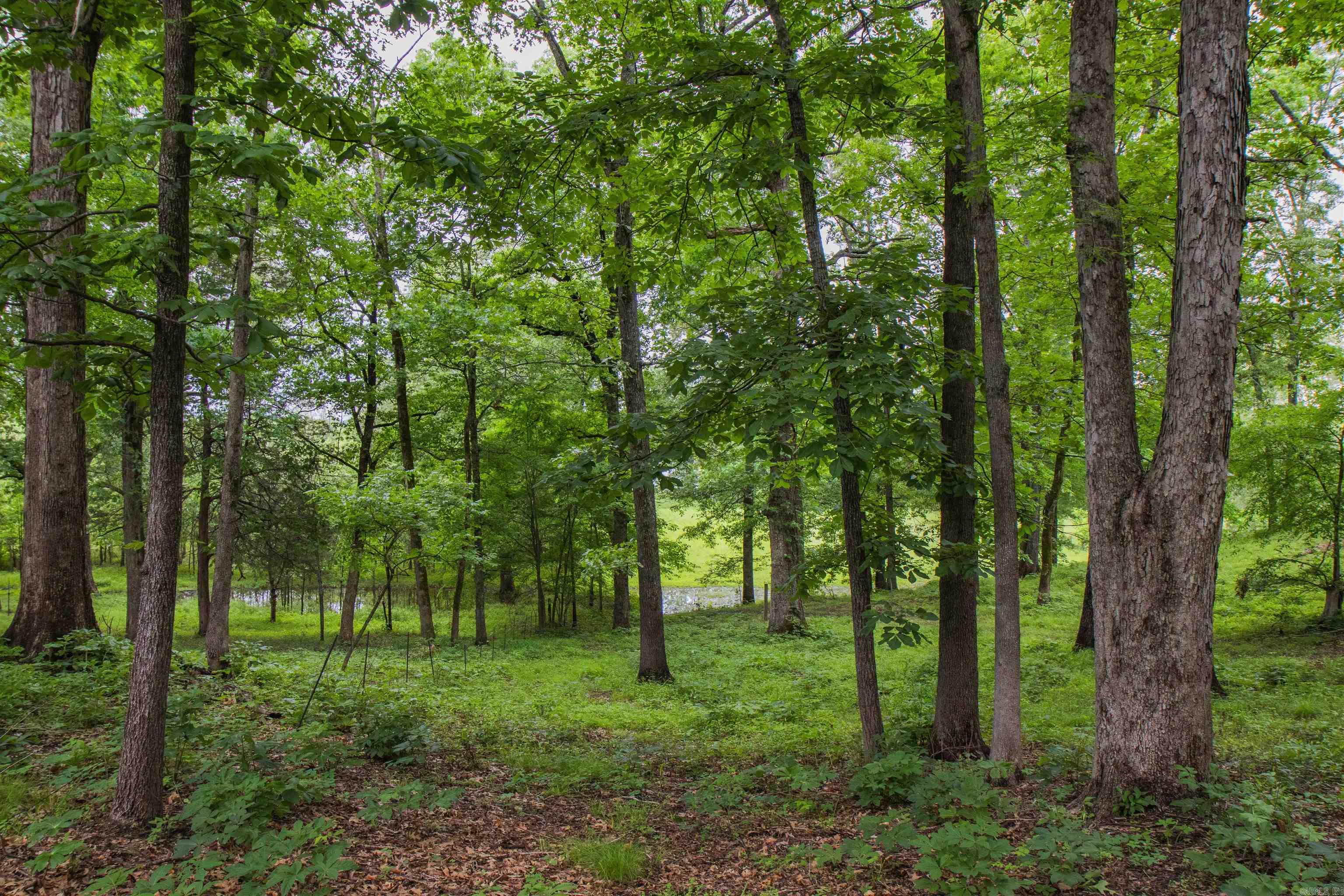 0  Ethridge Lane  Conway, AR