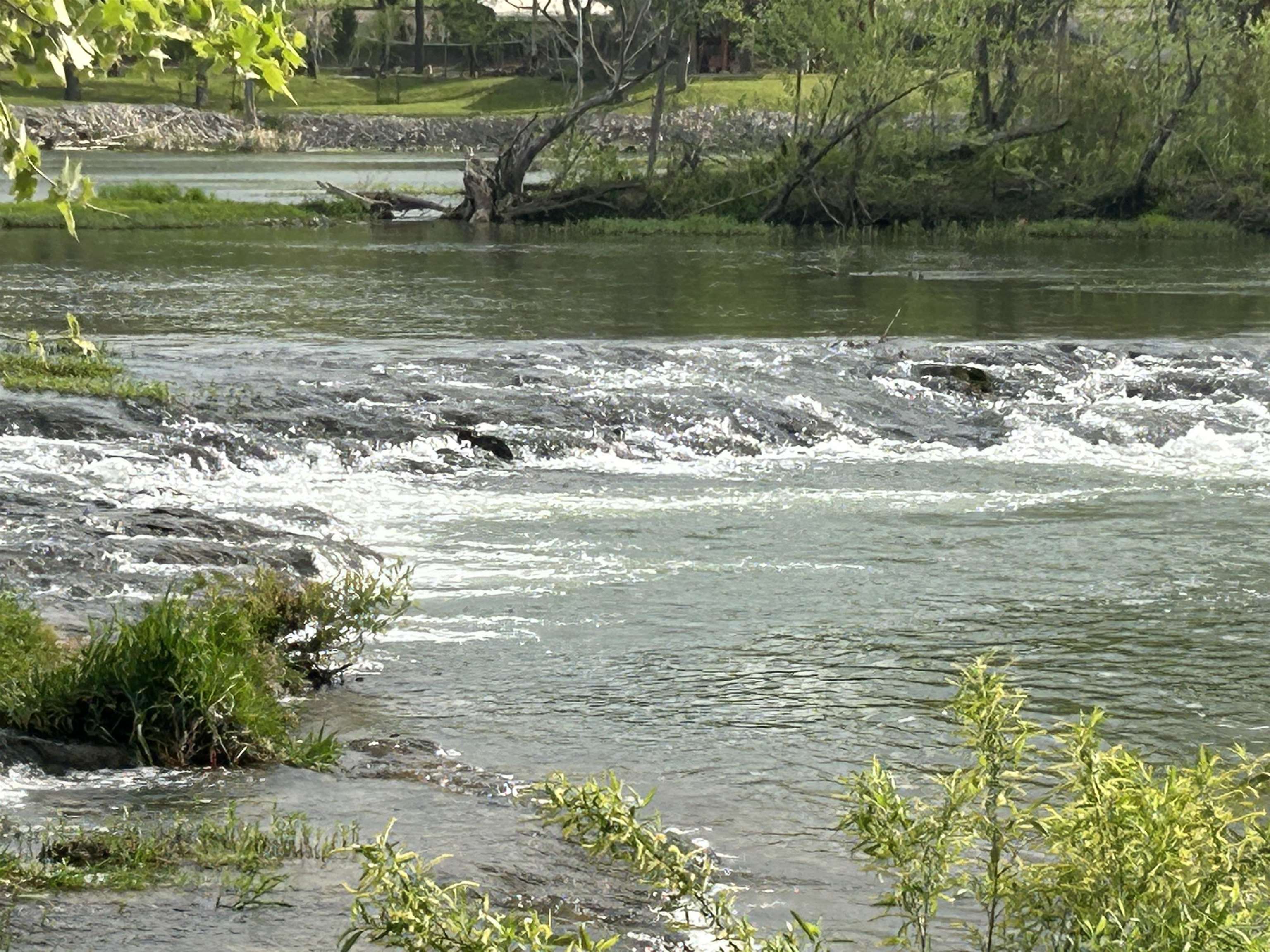 132 E Main  Hardy, AR