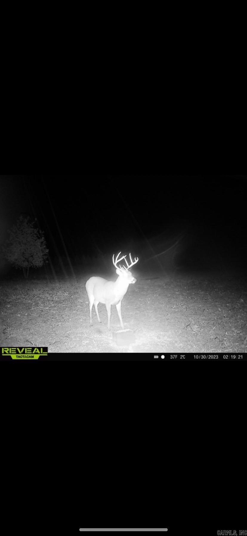15831  Hwy 16 West  Clinton, AR