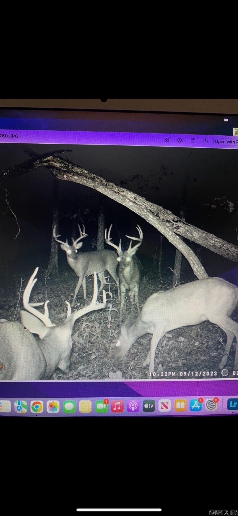 15831  Hwy 16 West  Clinton, AR