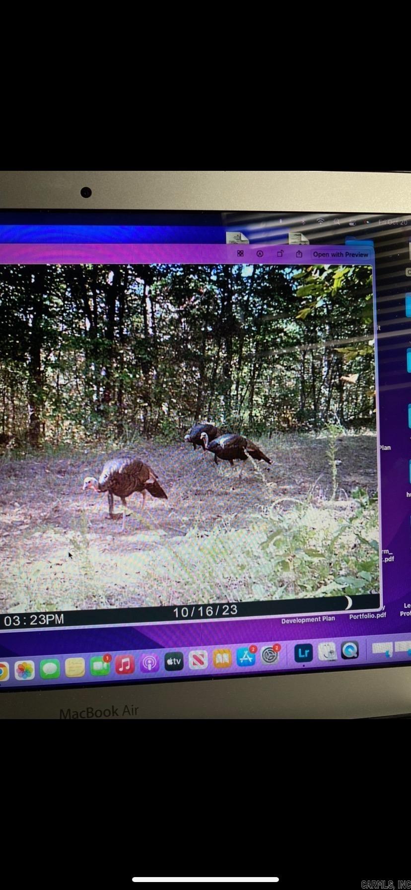 15831  Hwy 16 West  Clinton, AR