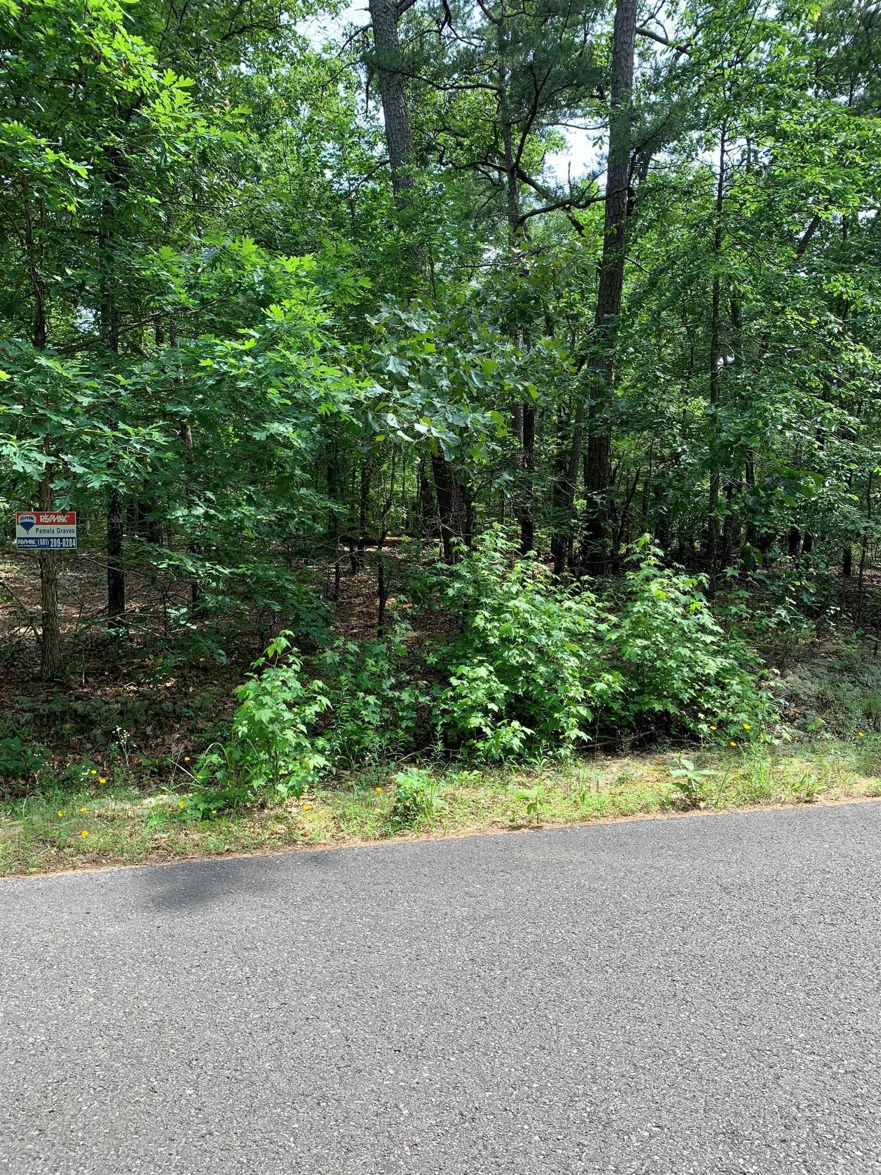 30  Alava  Hot Springs Village, AR