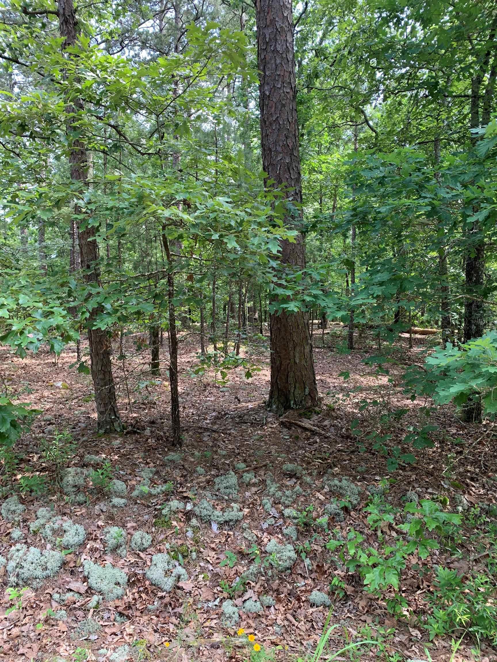 30  Alava  Hot Springs Village, AR