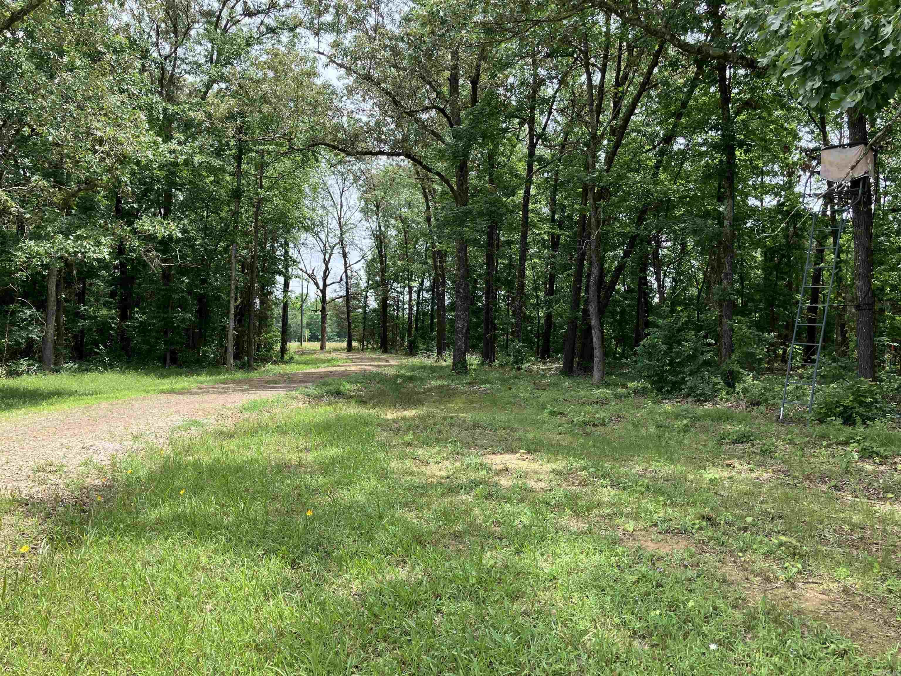1389  Hwy 167  Bradford, AR