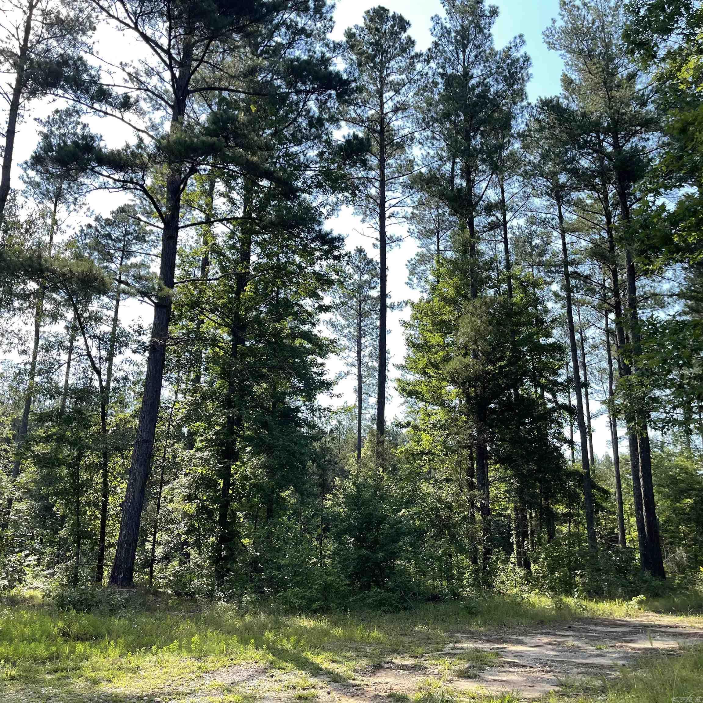 75 acres  Westbrook Road (off of)  Paron, AR