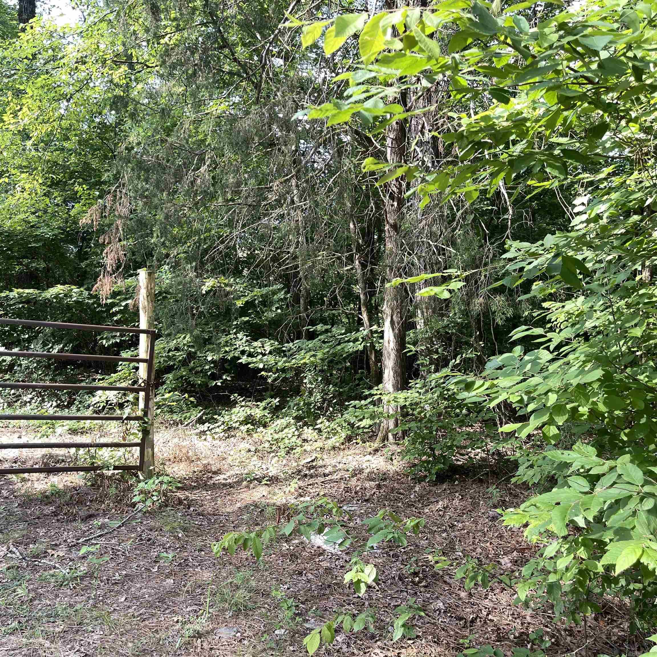 75 acres  Westbrook Road (off of)  Paron, AR