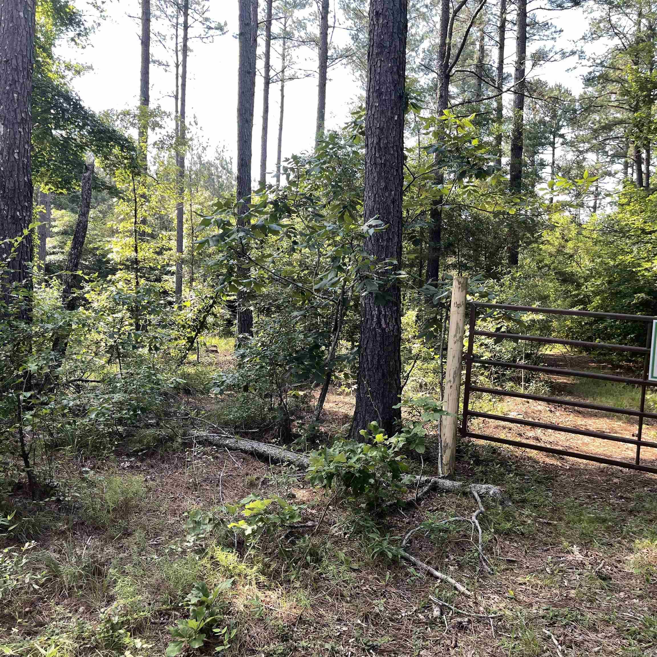 75 acres  Westbrook Road (off of)  Paron, AR