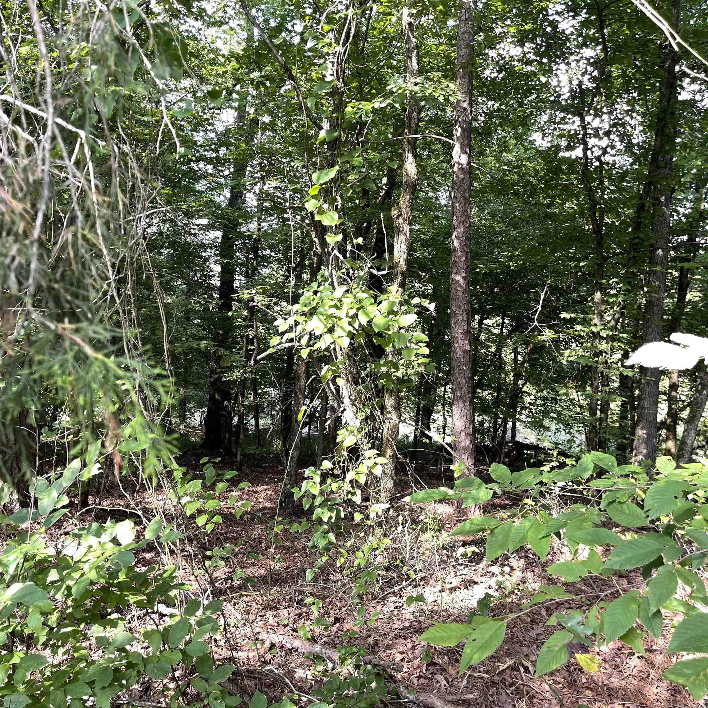 75 acres  Westbrook Road (off of)  Paron, AR