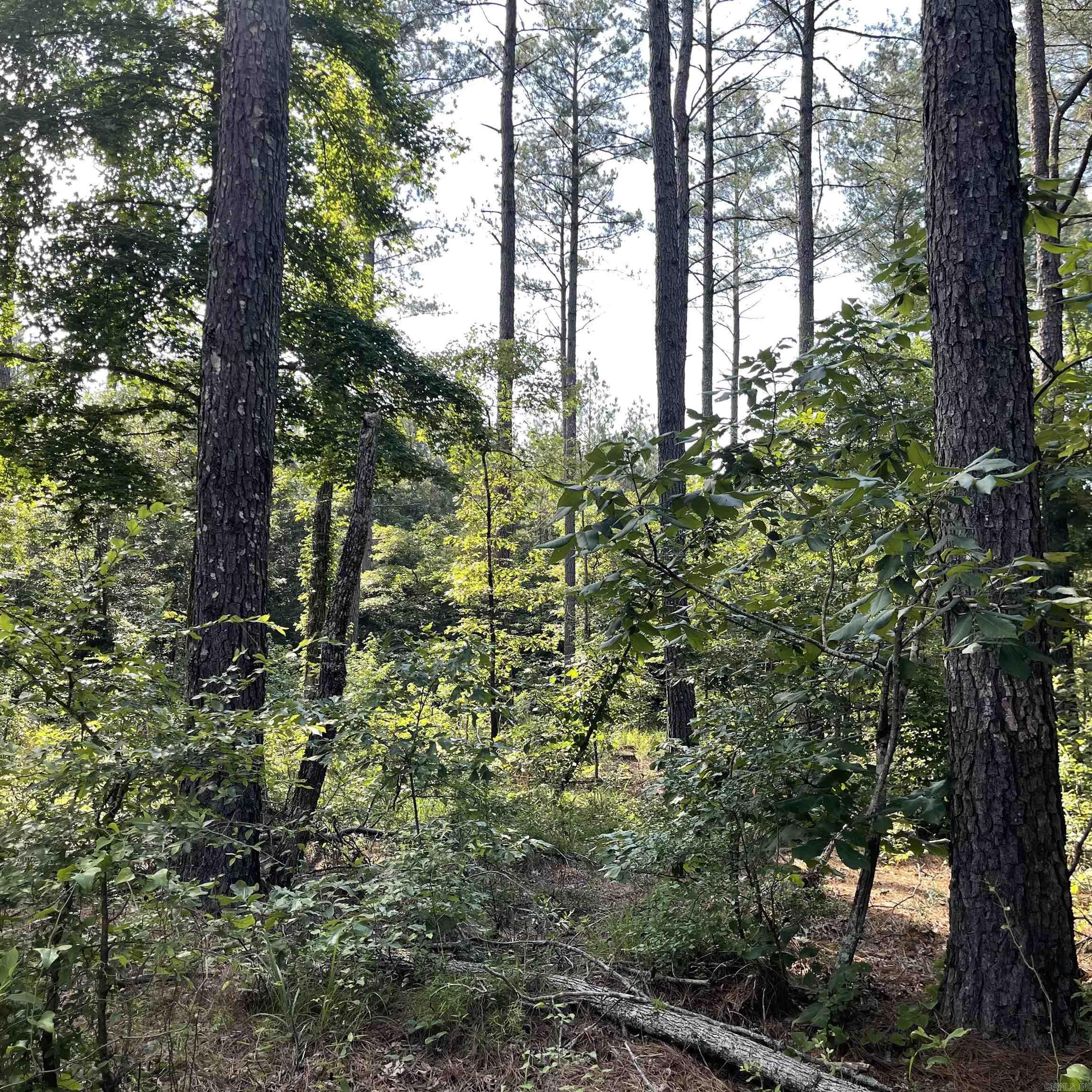 75 acres  Westbrook Road (off of)  Paron, AR