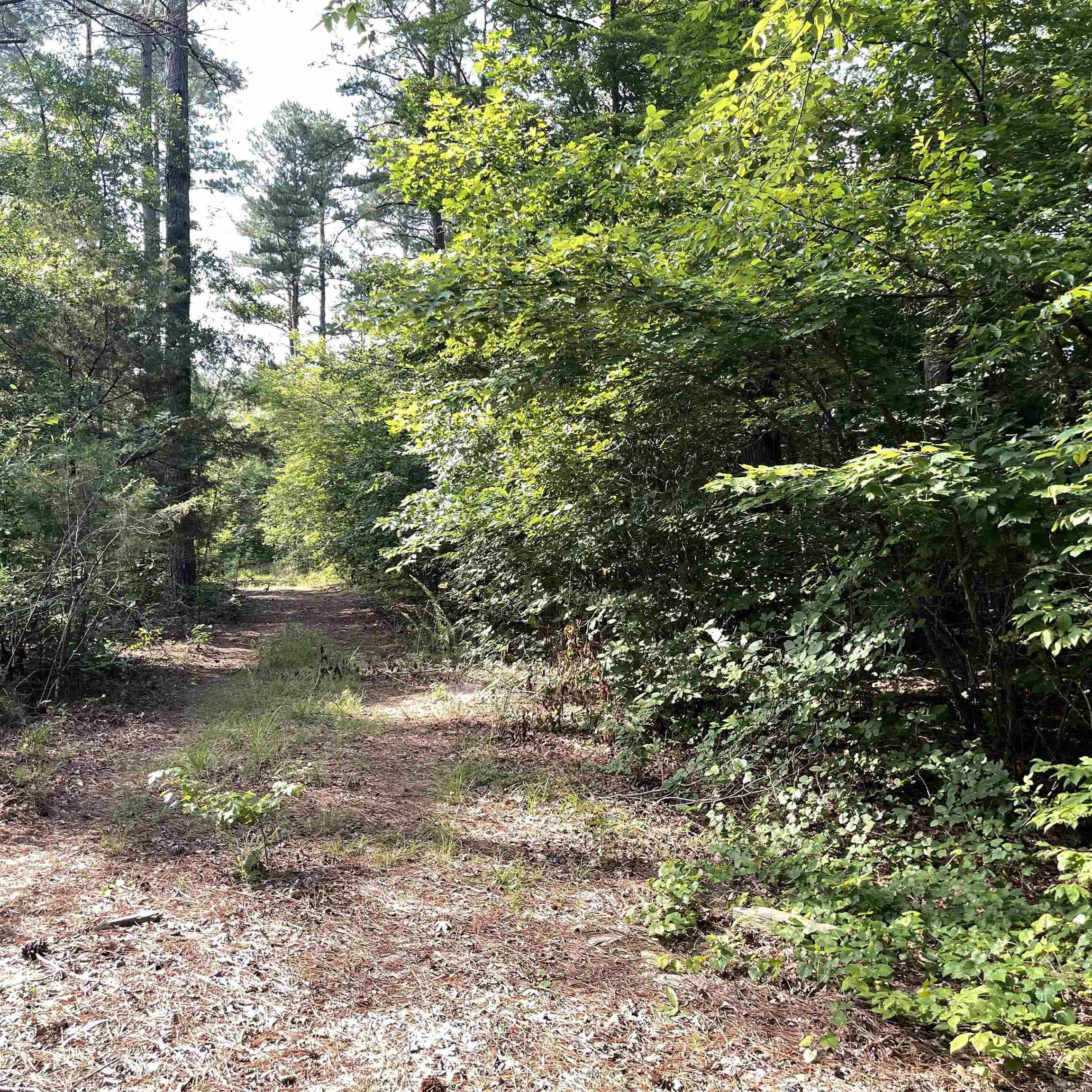 75 acres  Westbrook Road (off of)  Paron, AR