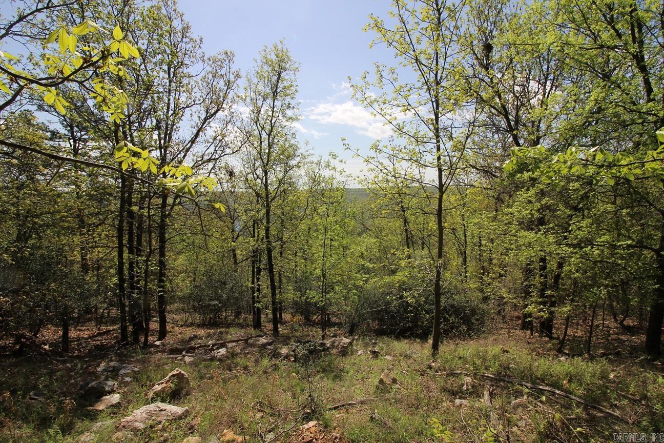0  Mt. Riante  Hot Springs, AR