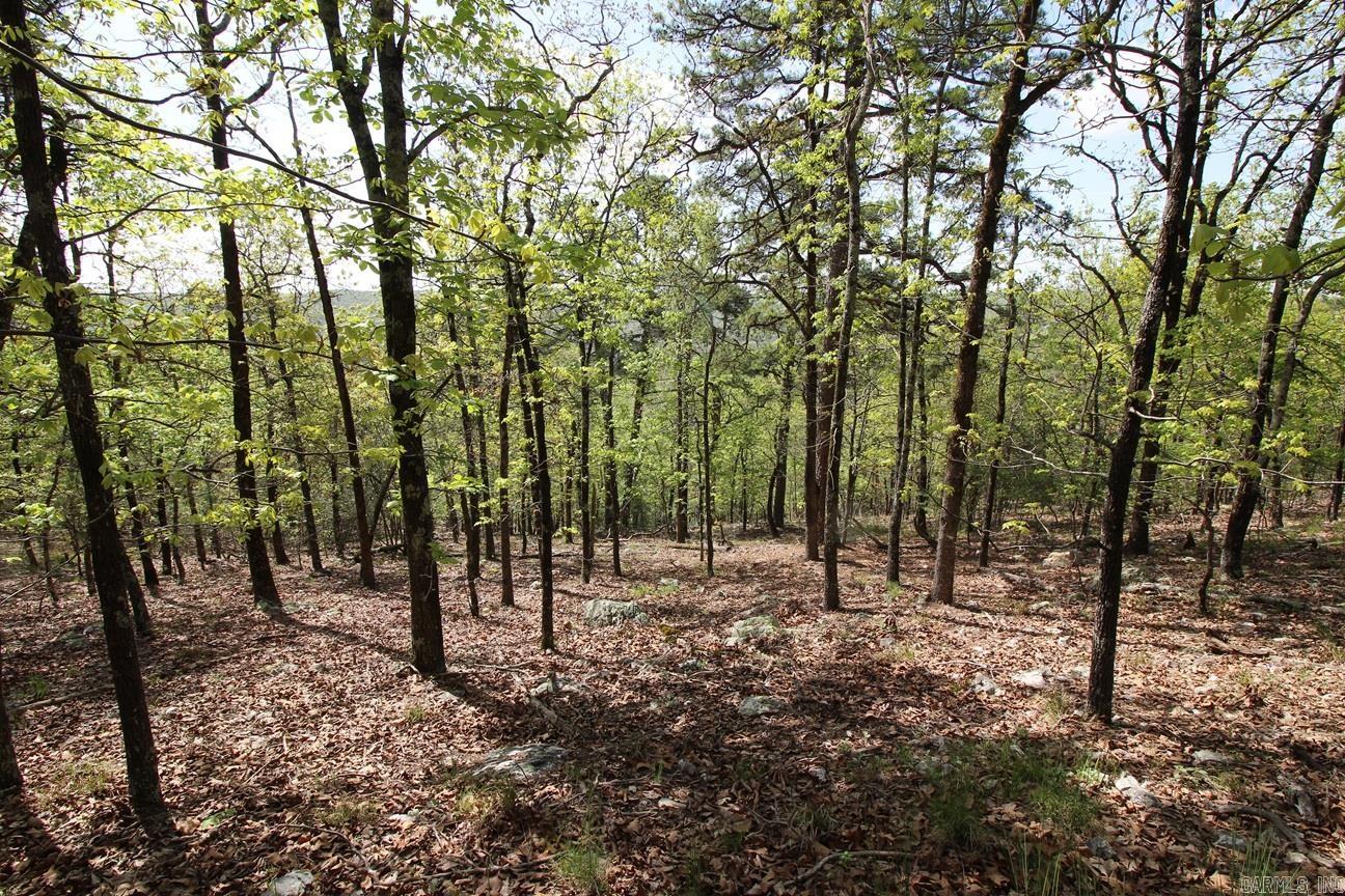 0  Mt. Riante  Hot Springs, AR