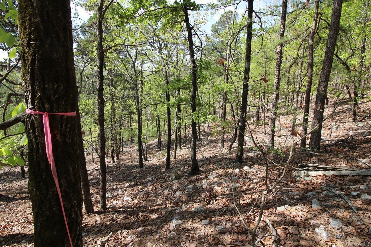 0  Mt. Riante  Hot Springs, AR