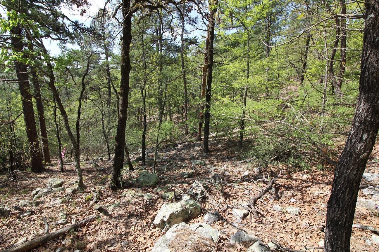 0  Mt. Riante  Hot Springs, AR