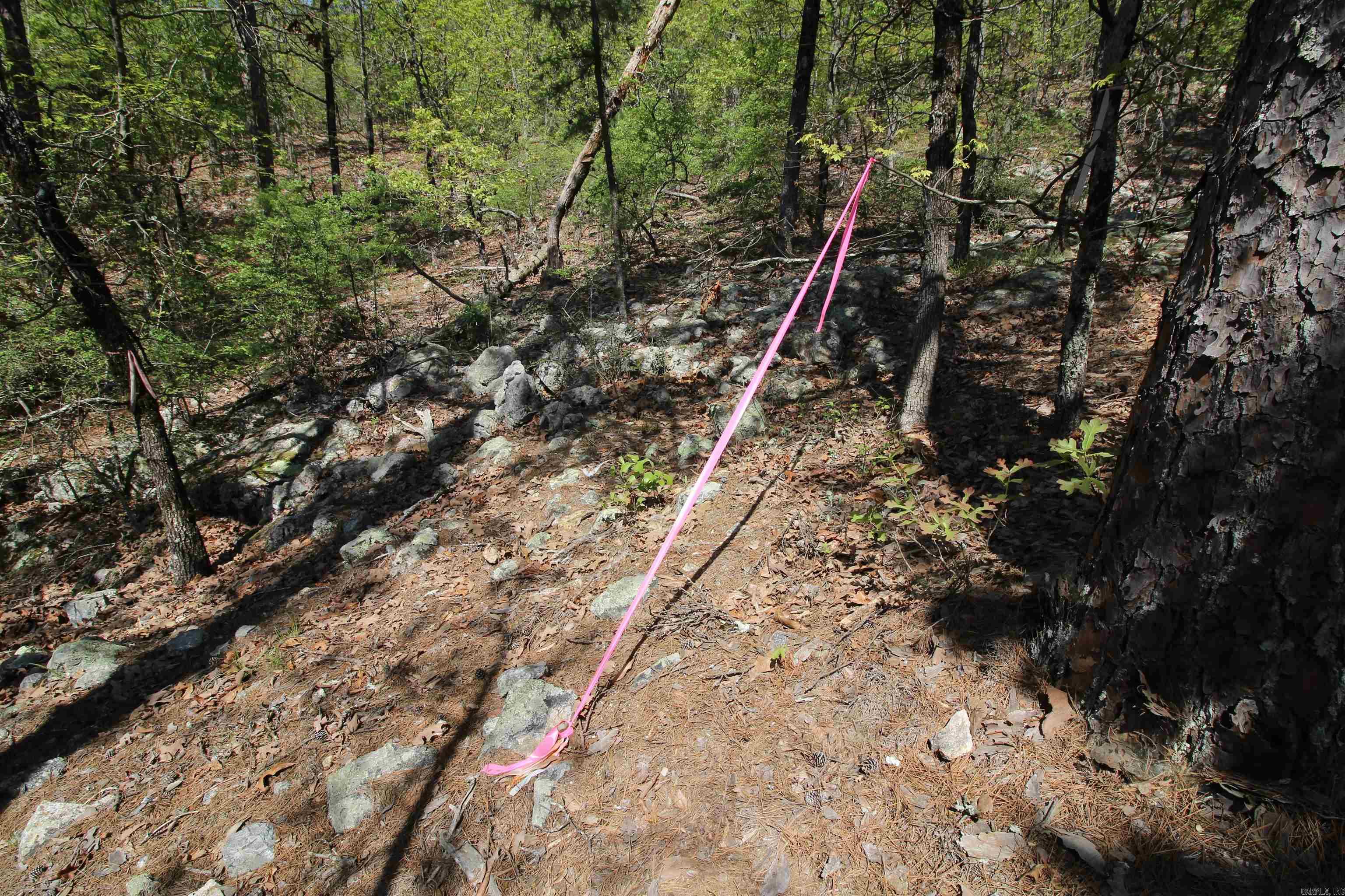 0  Mt. Riante  Hot Springs, AR