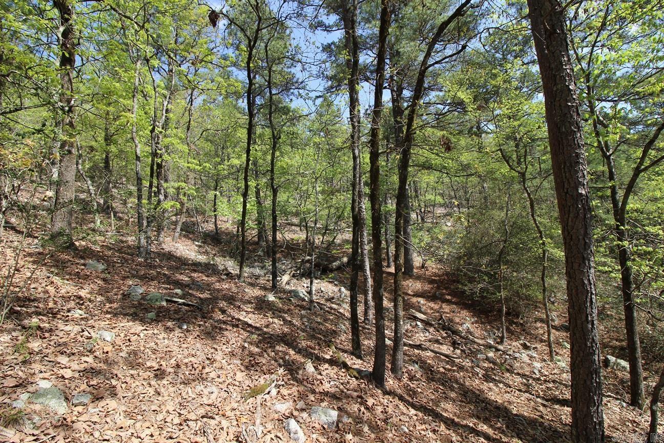 0  Mt. Riante  Hot Springs, AR