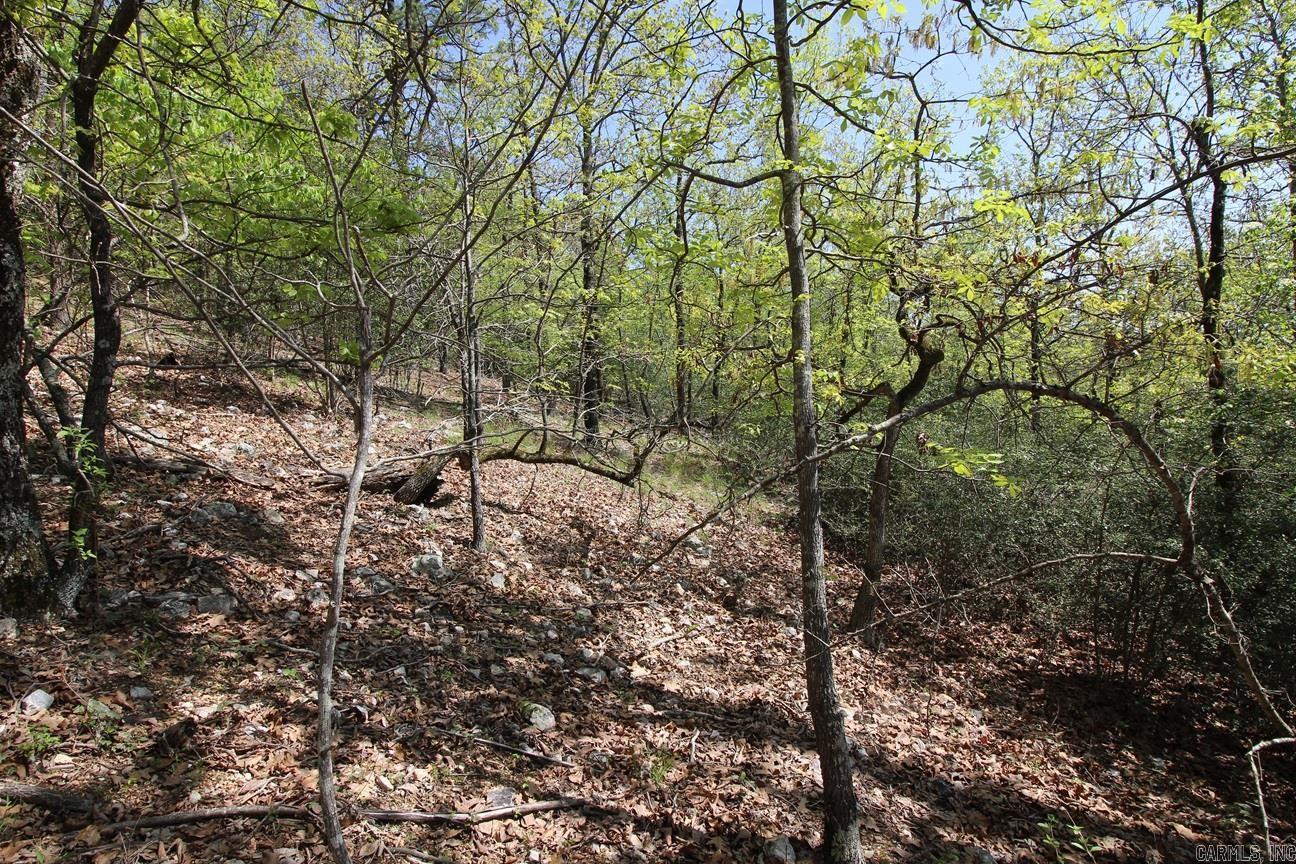 0  Mt. Riante  Hot Springs, AR