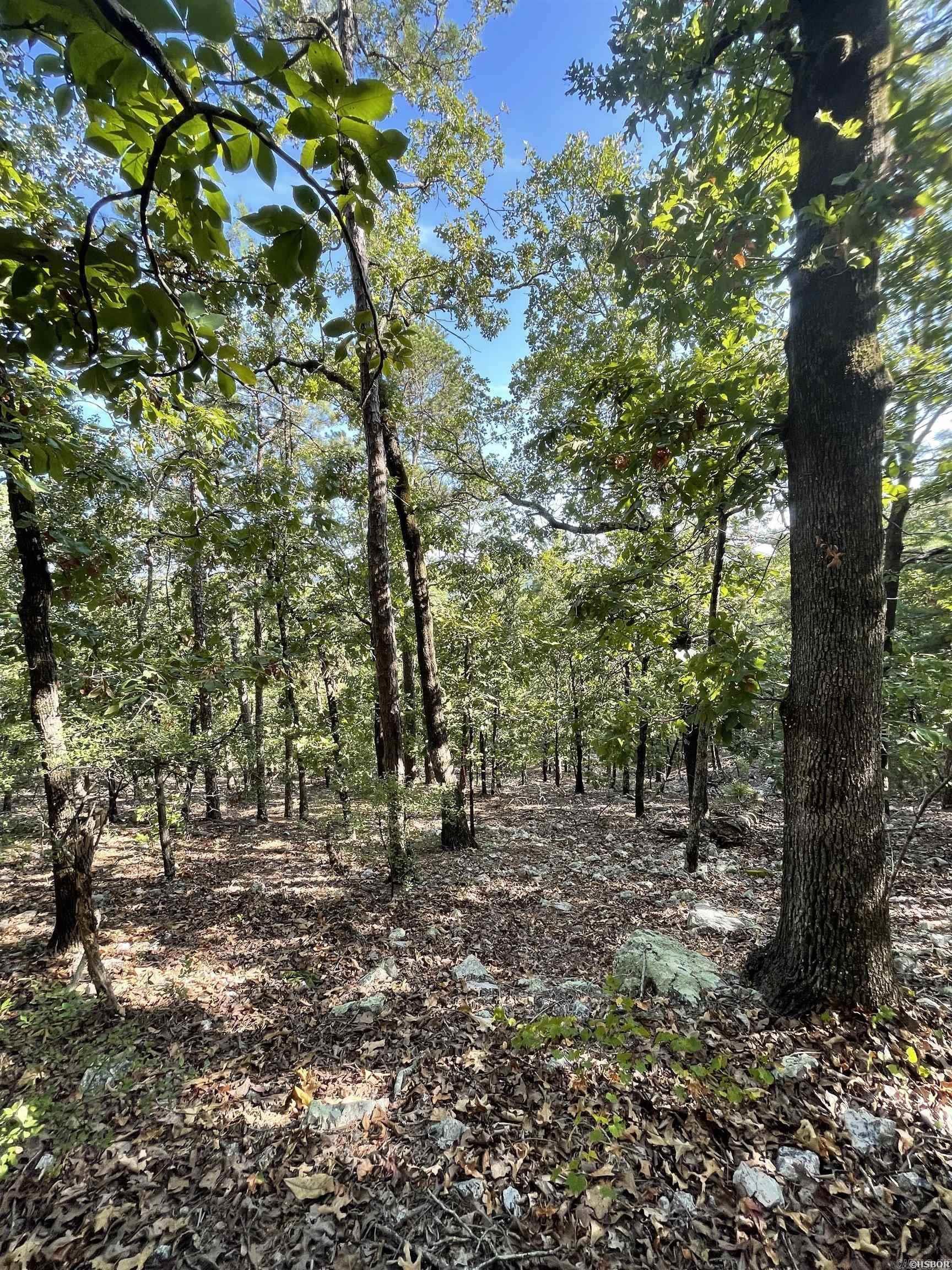 0  Mt. Riante  Hot Springs, AR
