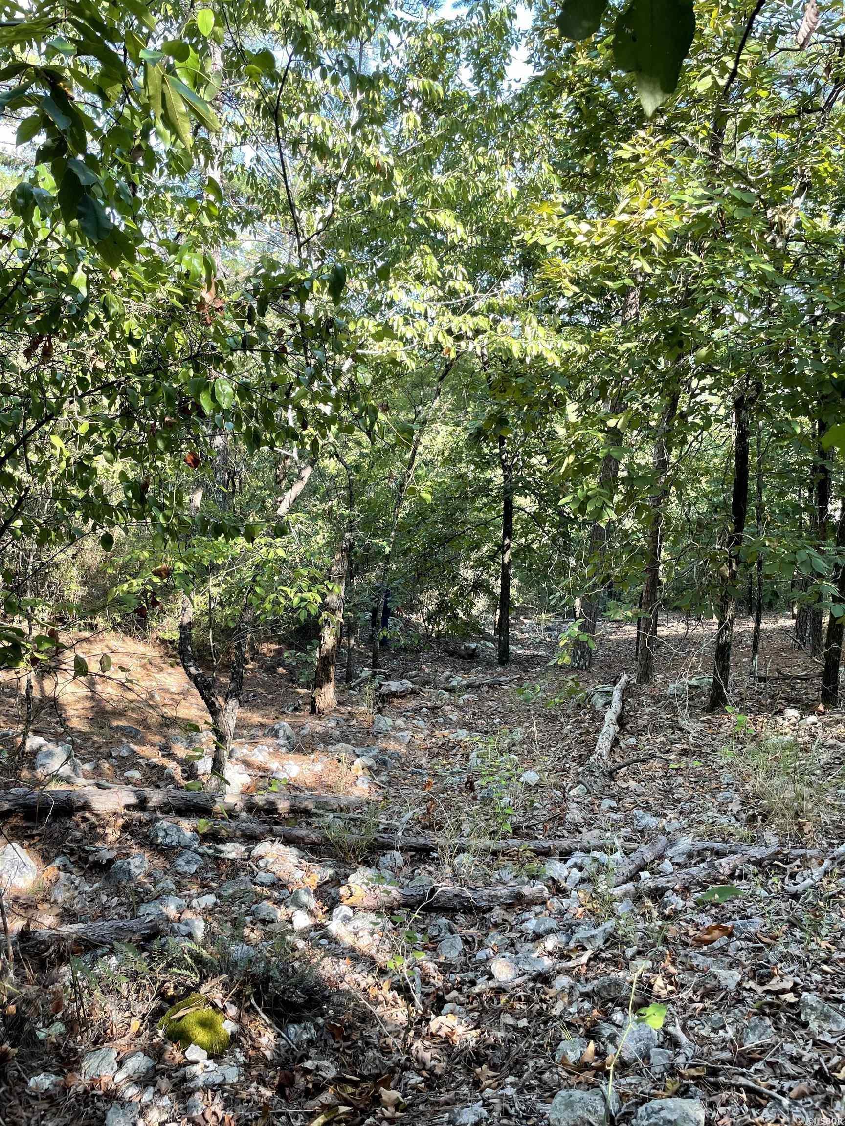 0  Mt. Riante  Hot Springs, AR