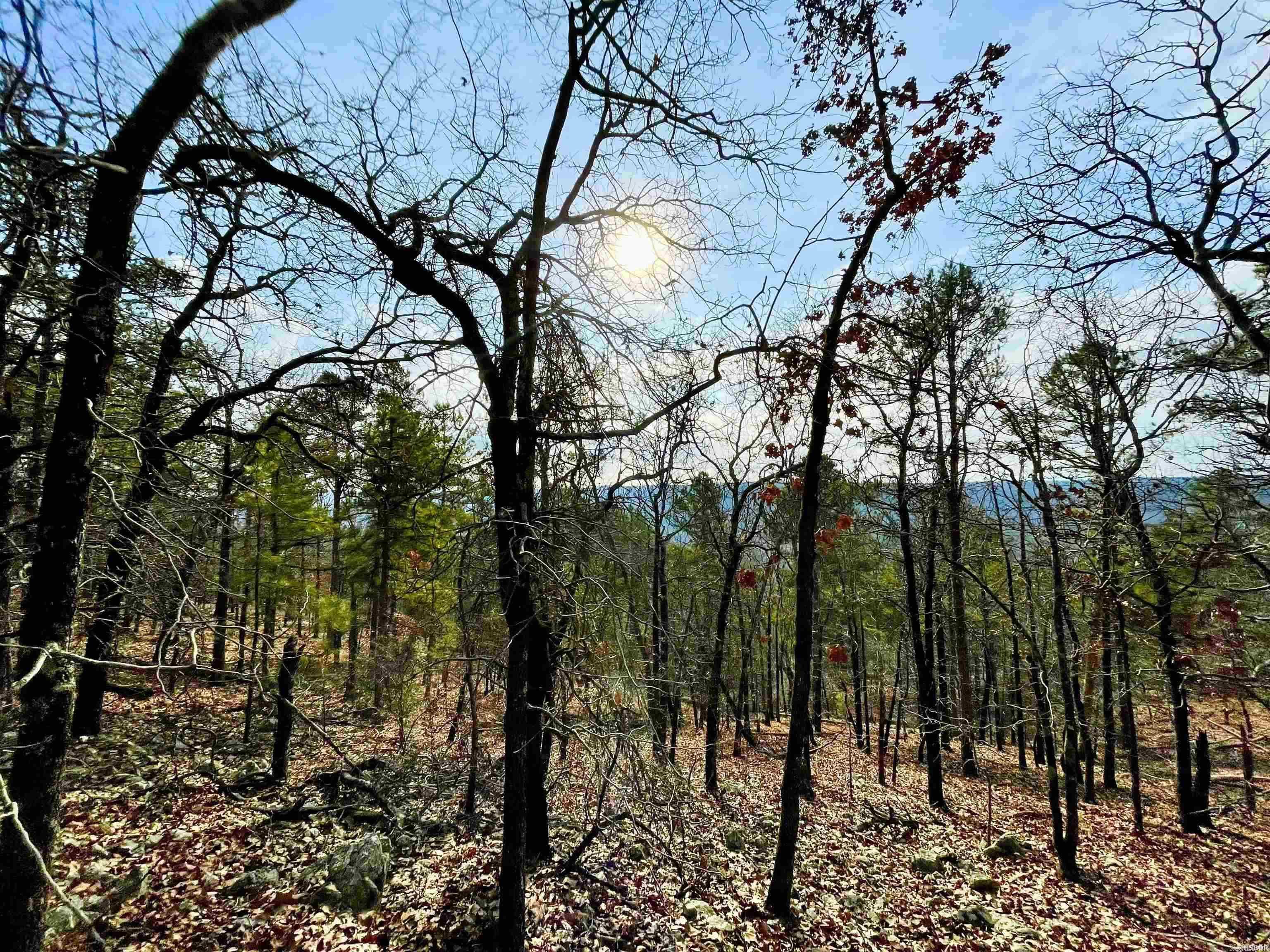 0  Mt. Riante  Hot Springs, AR