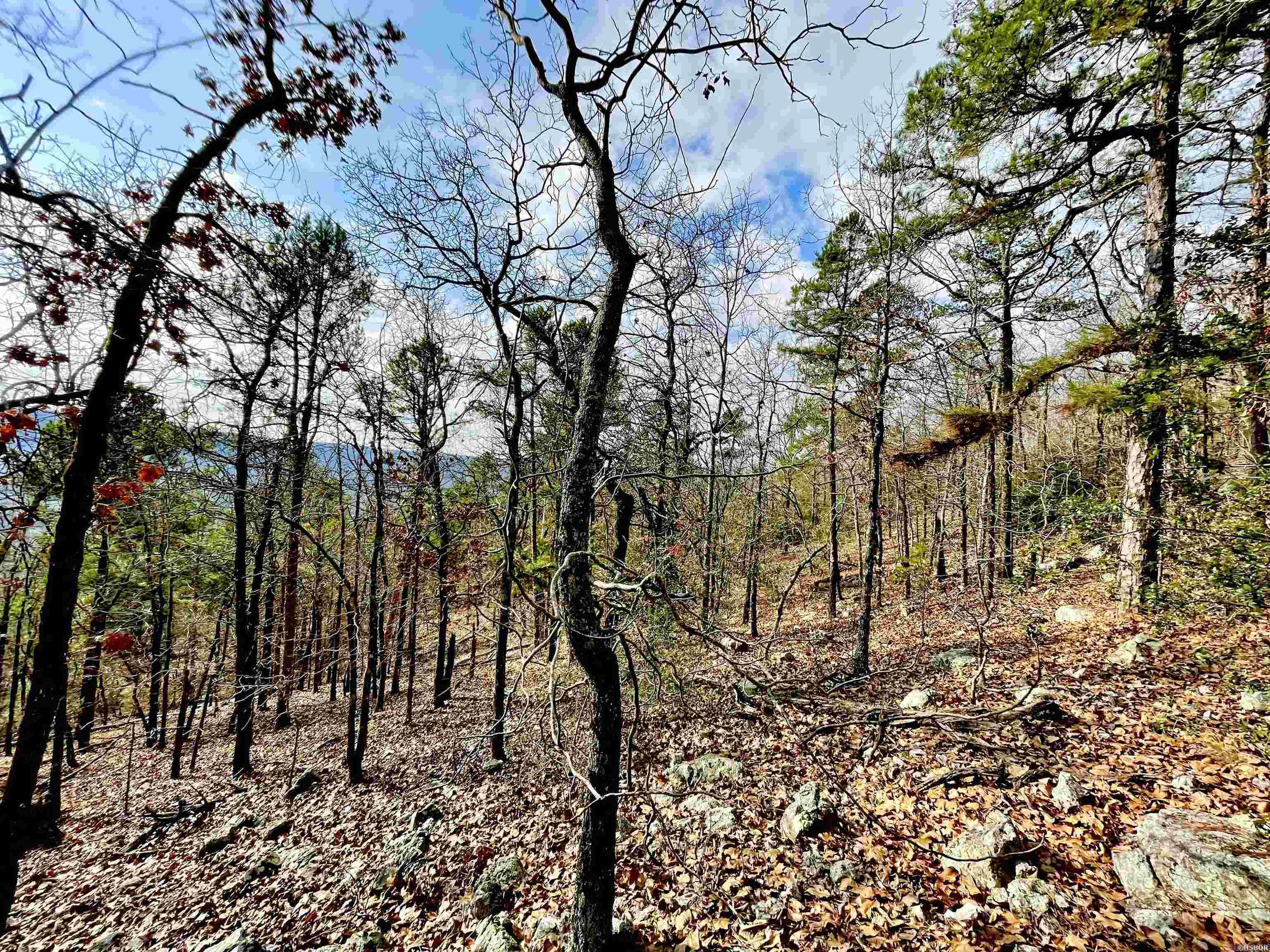 0  Mt. Riante  Hot Springs, AR