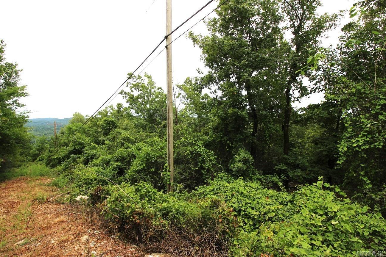0  Mt. Riante  Hot Springs, AR