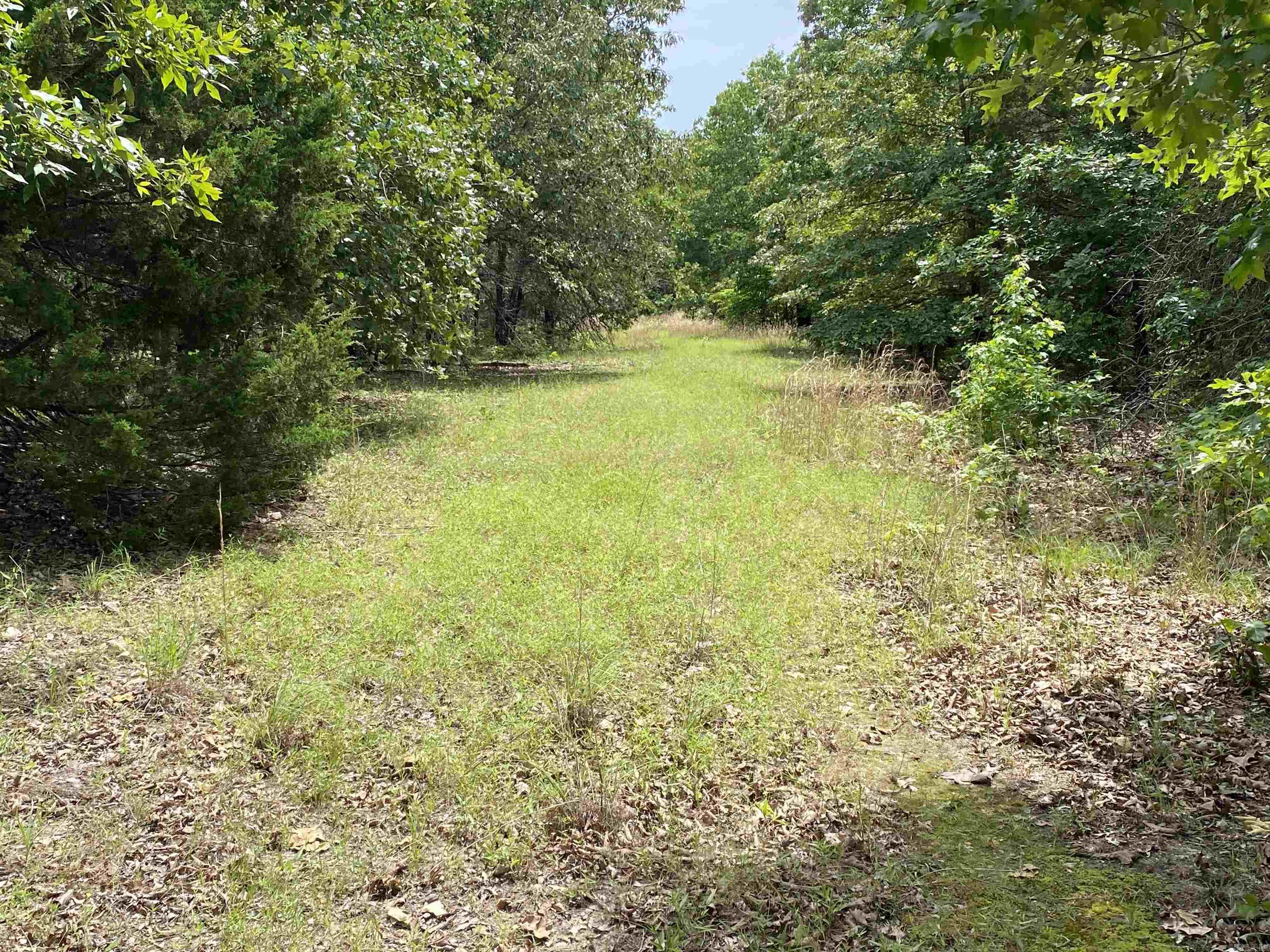 901  McFarr Trail  Ravenden, AR