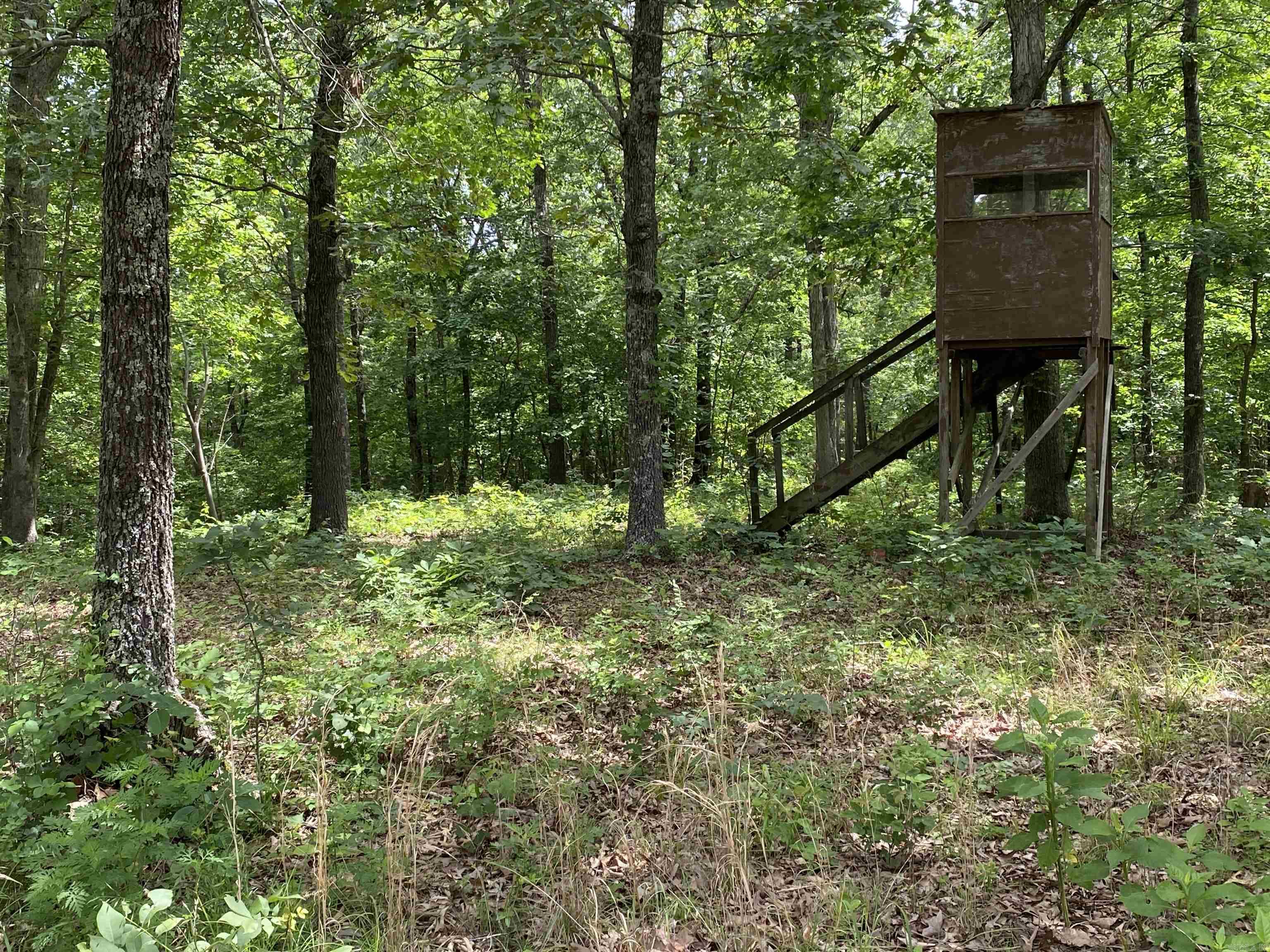 901  McFarr Trail  Ravenden, AR