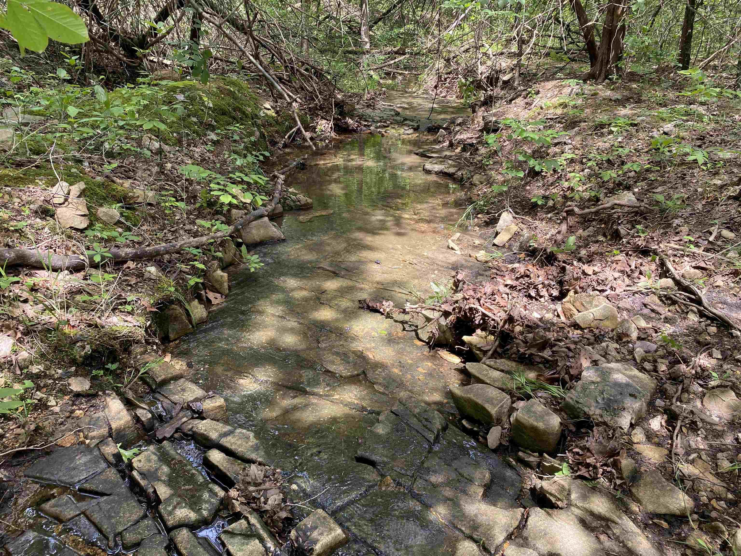 901  McFarr Trail  Ravenden, AR