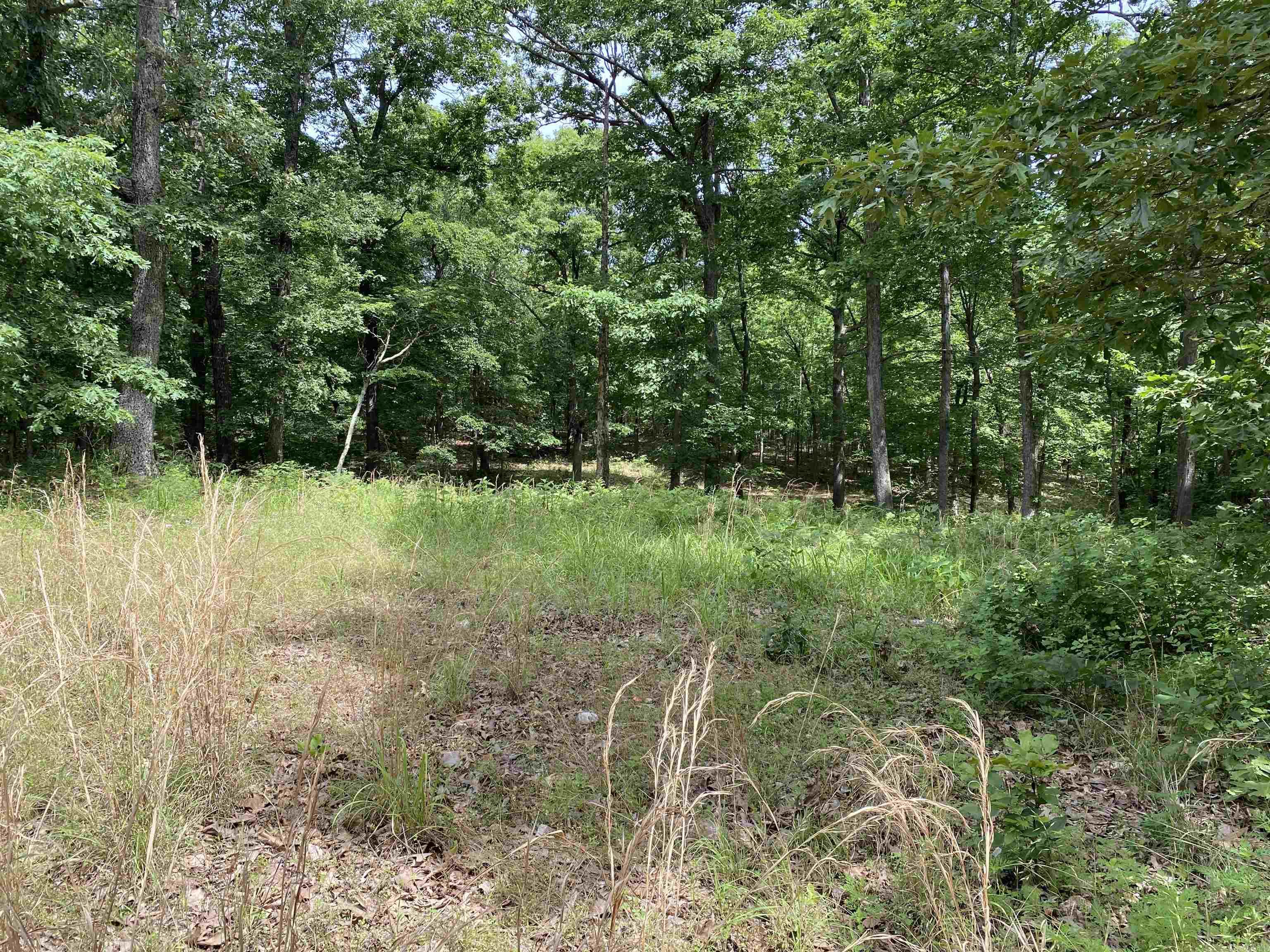 901  McFarr Trail  Ravenden, AR