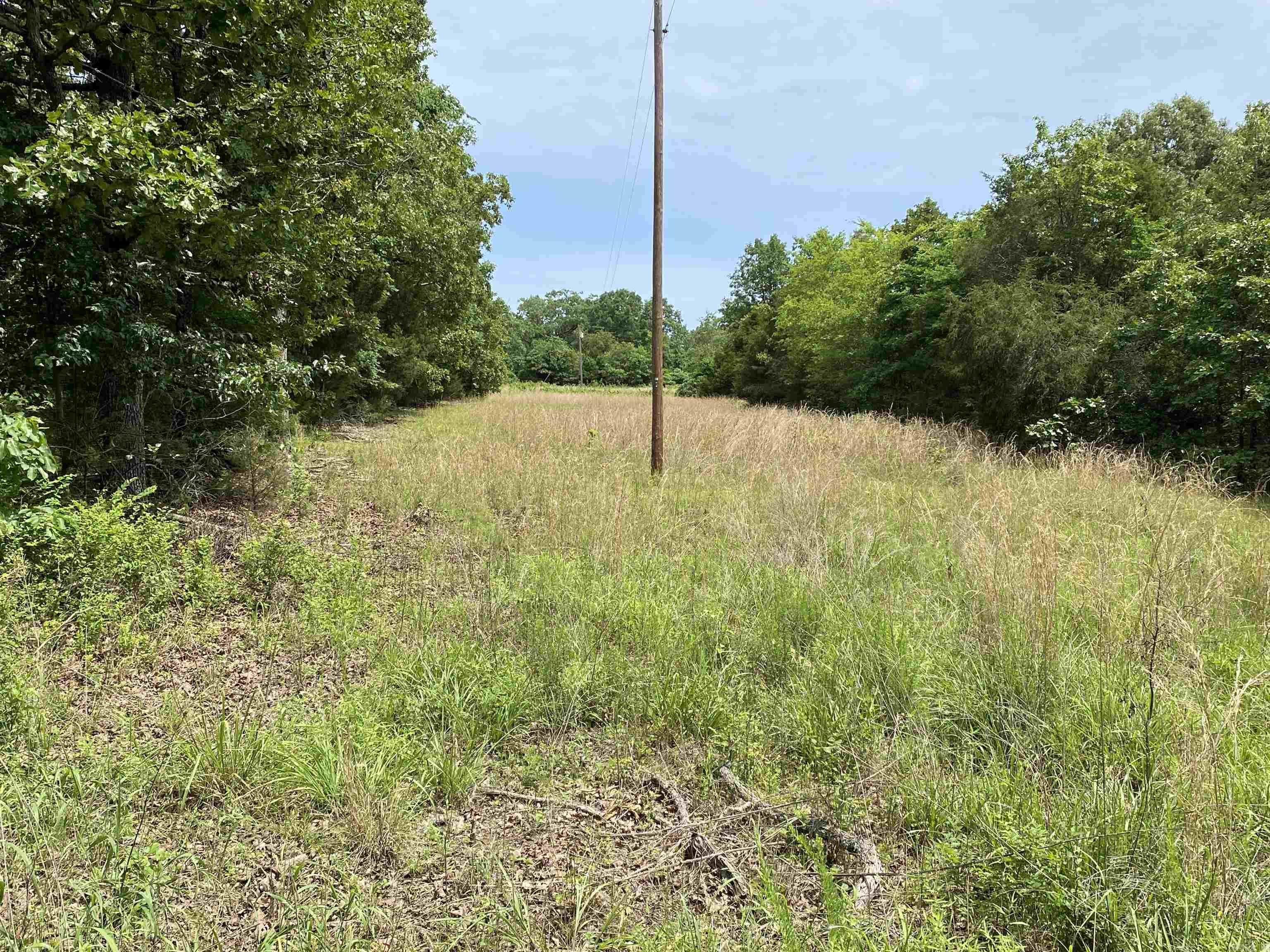 901  McFarr Trail  Ravenden, AR